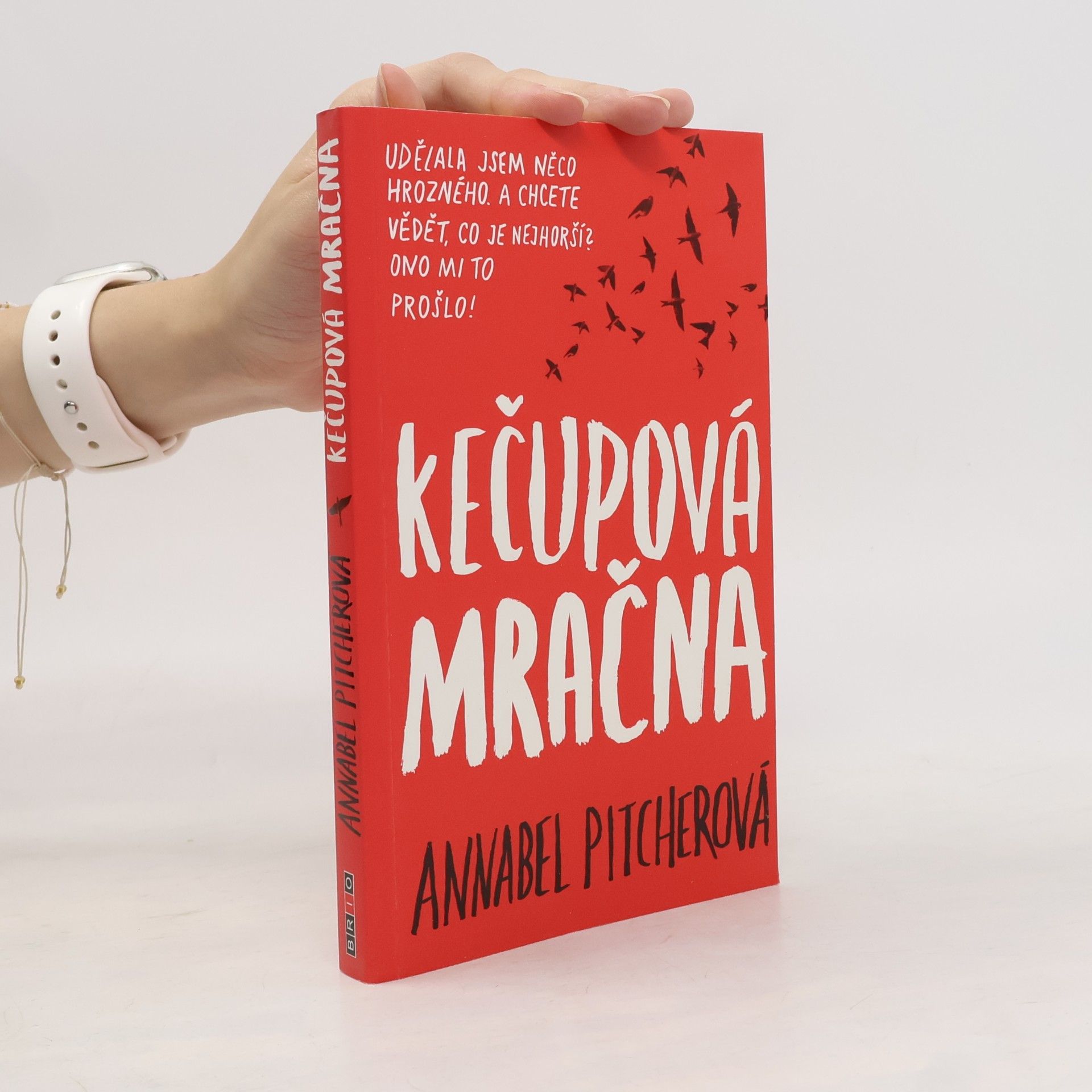 Annabel Pitcher Kečupová mračna