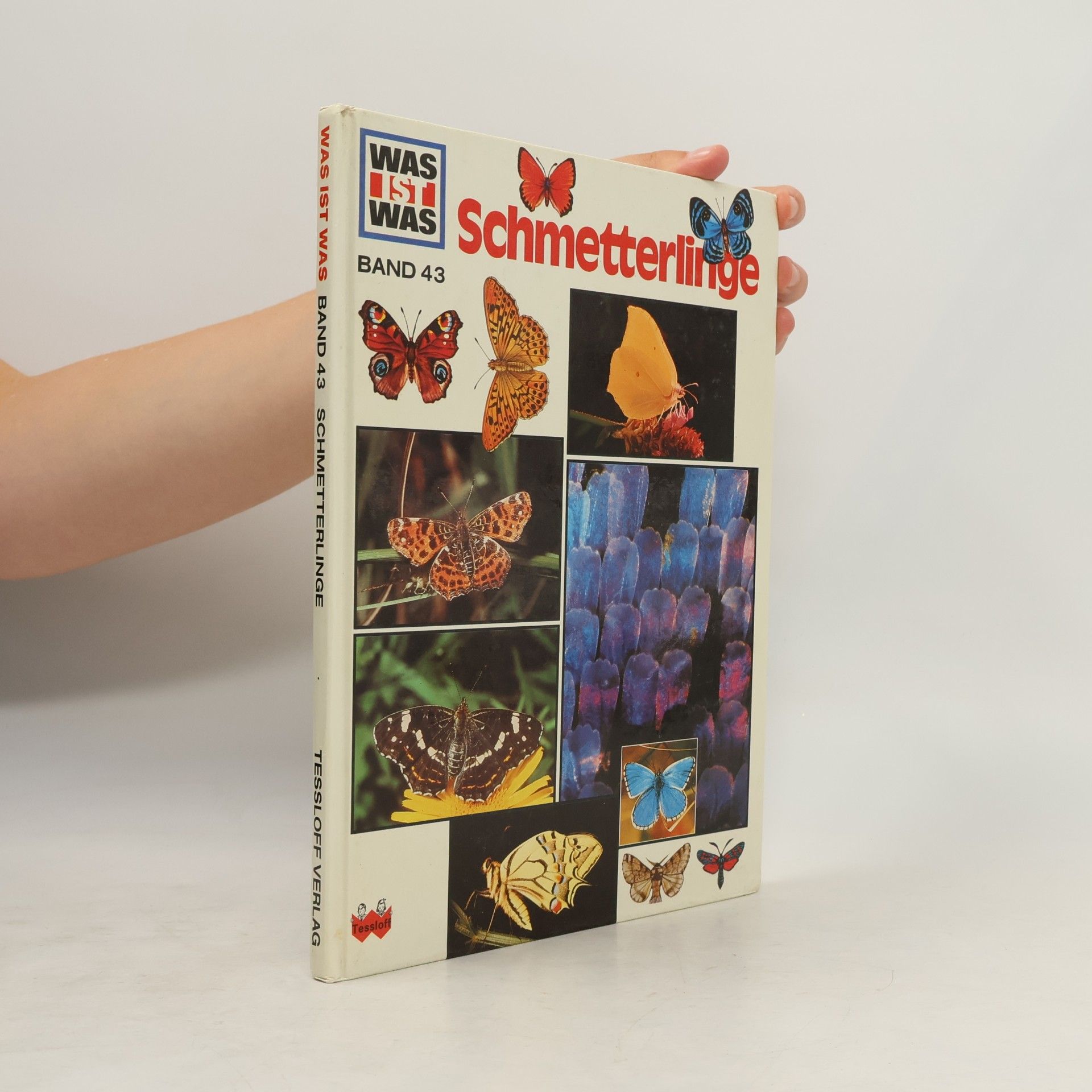 Schmetterlinge