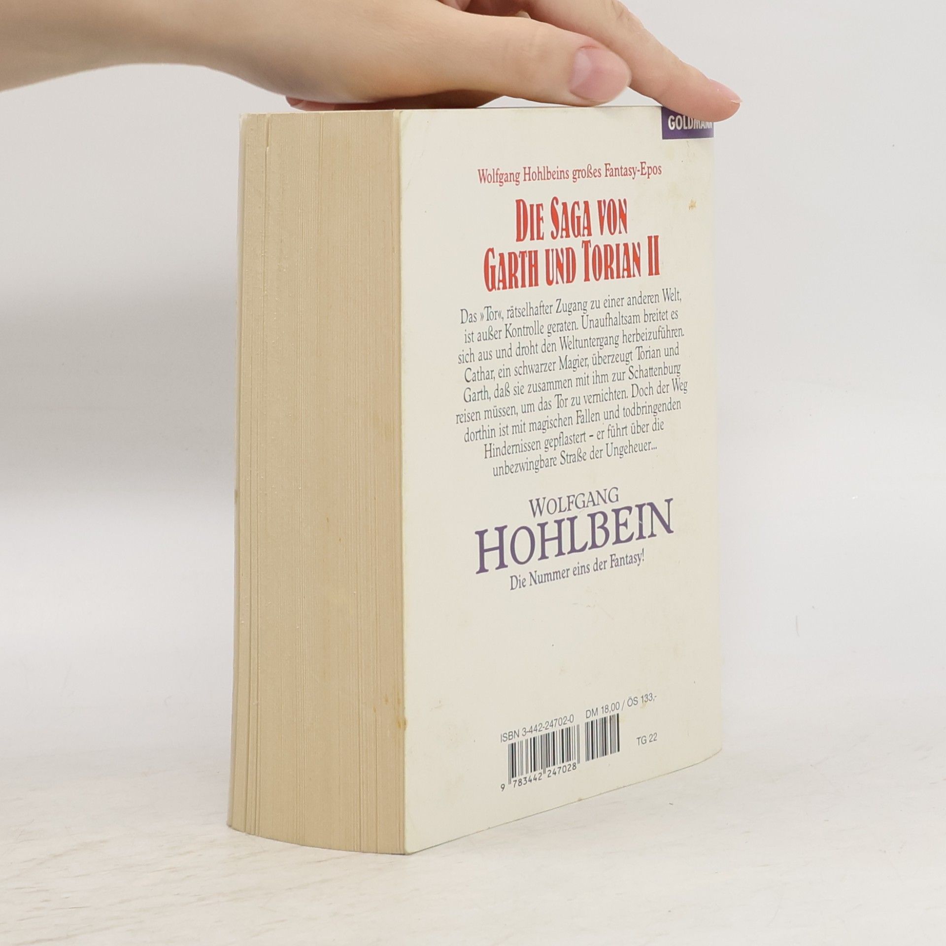 Wolfgang Hohlbein Die Saga von Garth und Torian II