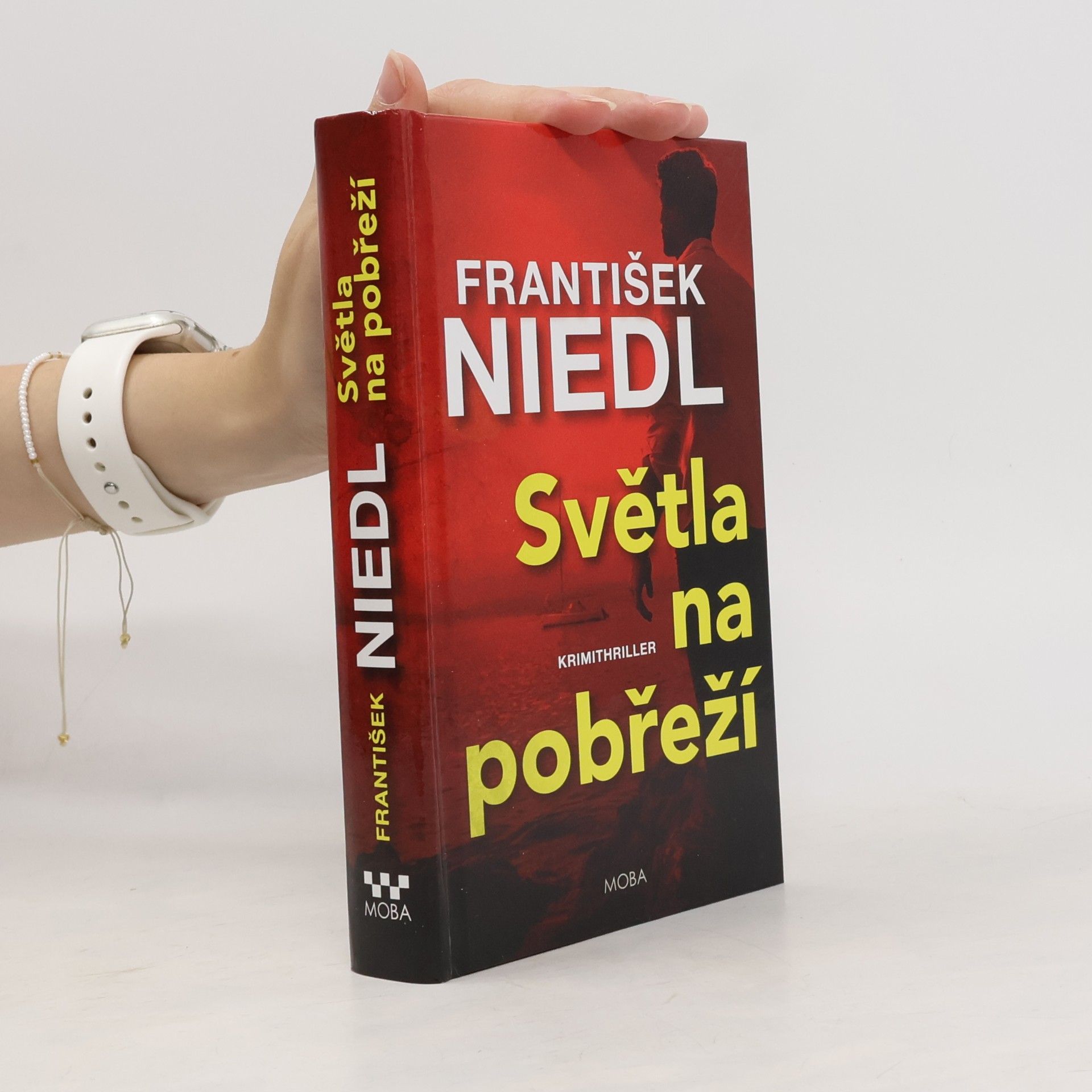 František Niedl Světla na pobřeží