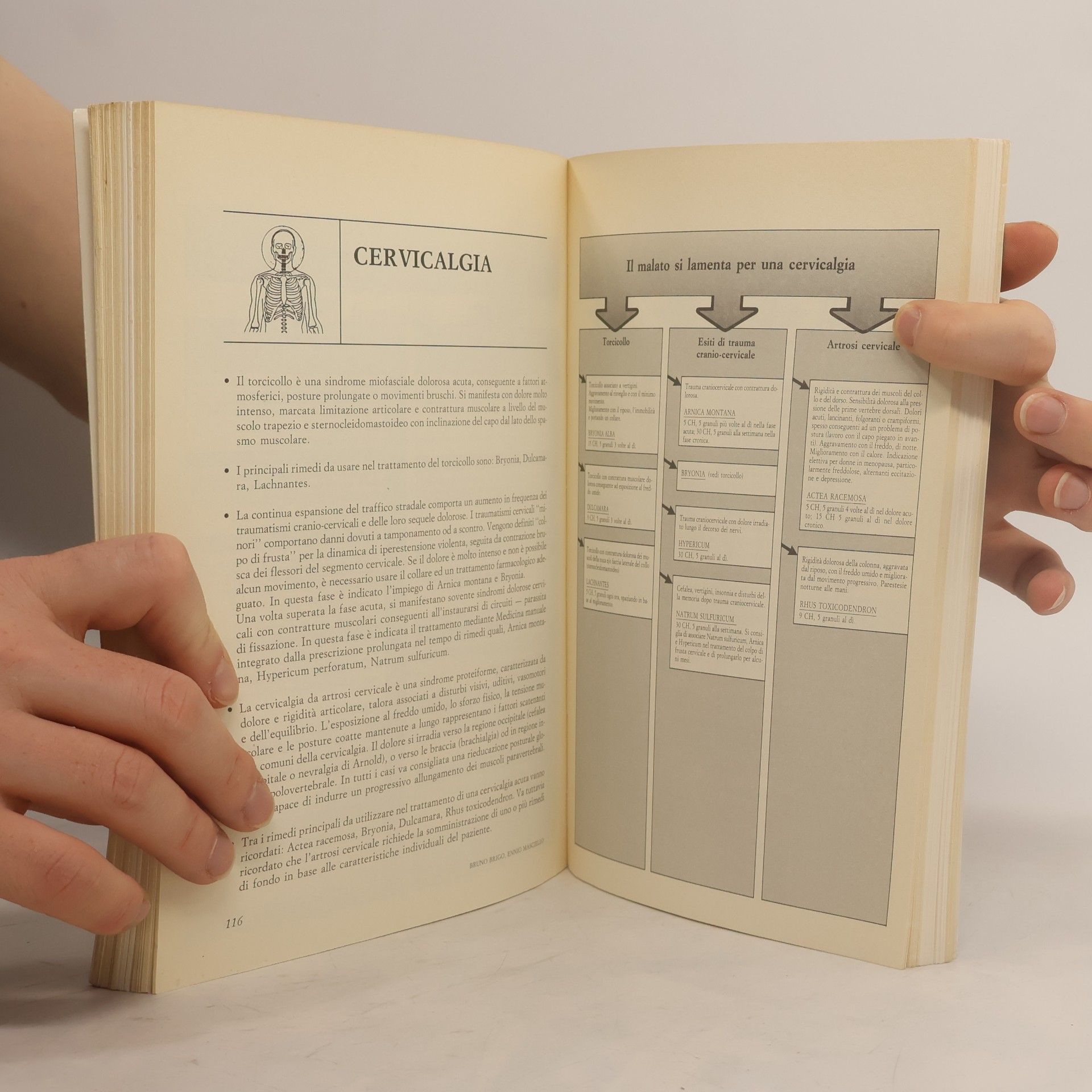 Bruno Brigo Naturalmente medicina - 15: Manuale pratico di omeopatia
