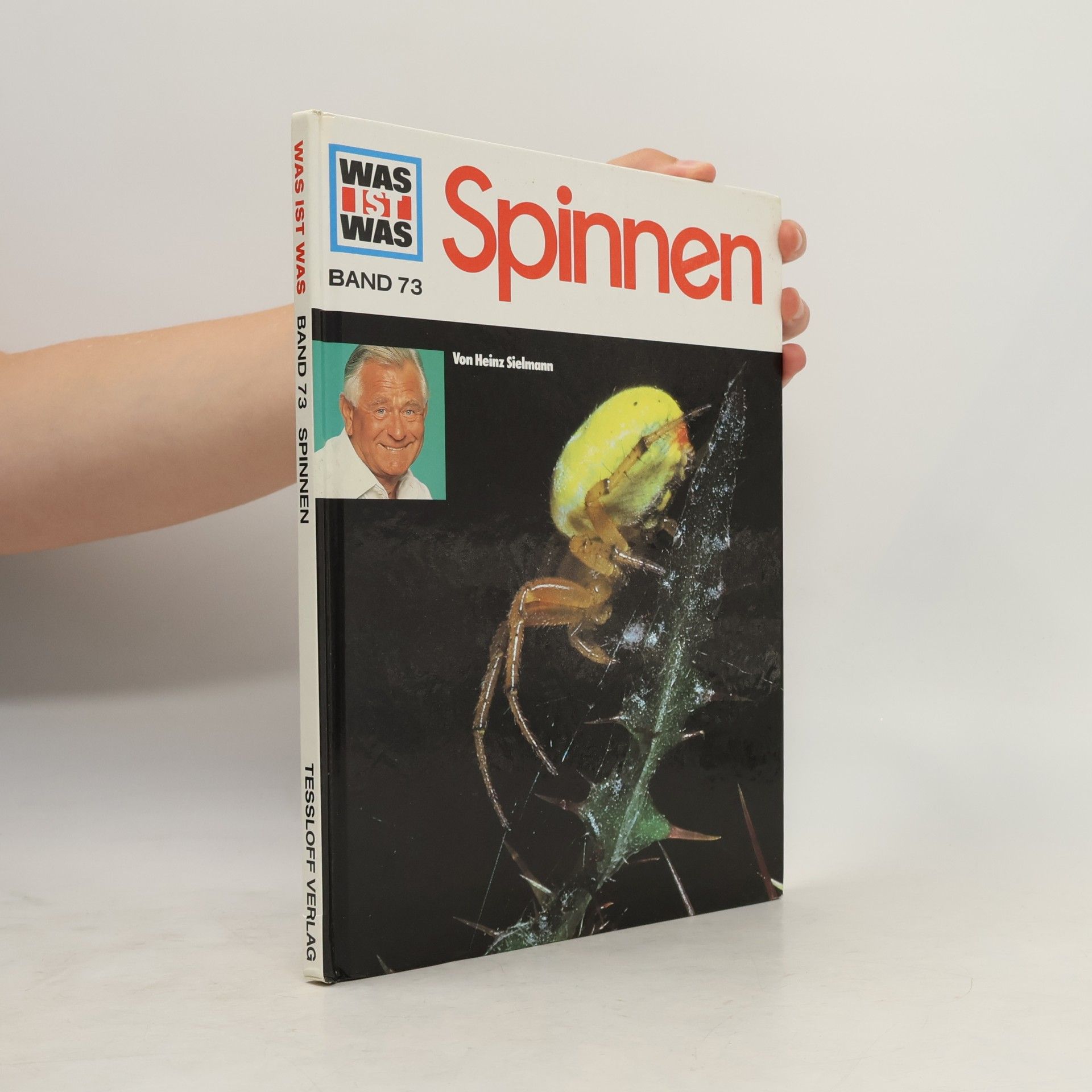 Margret Walter-Schneider Spinnen