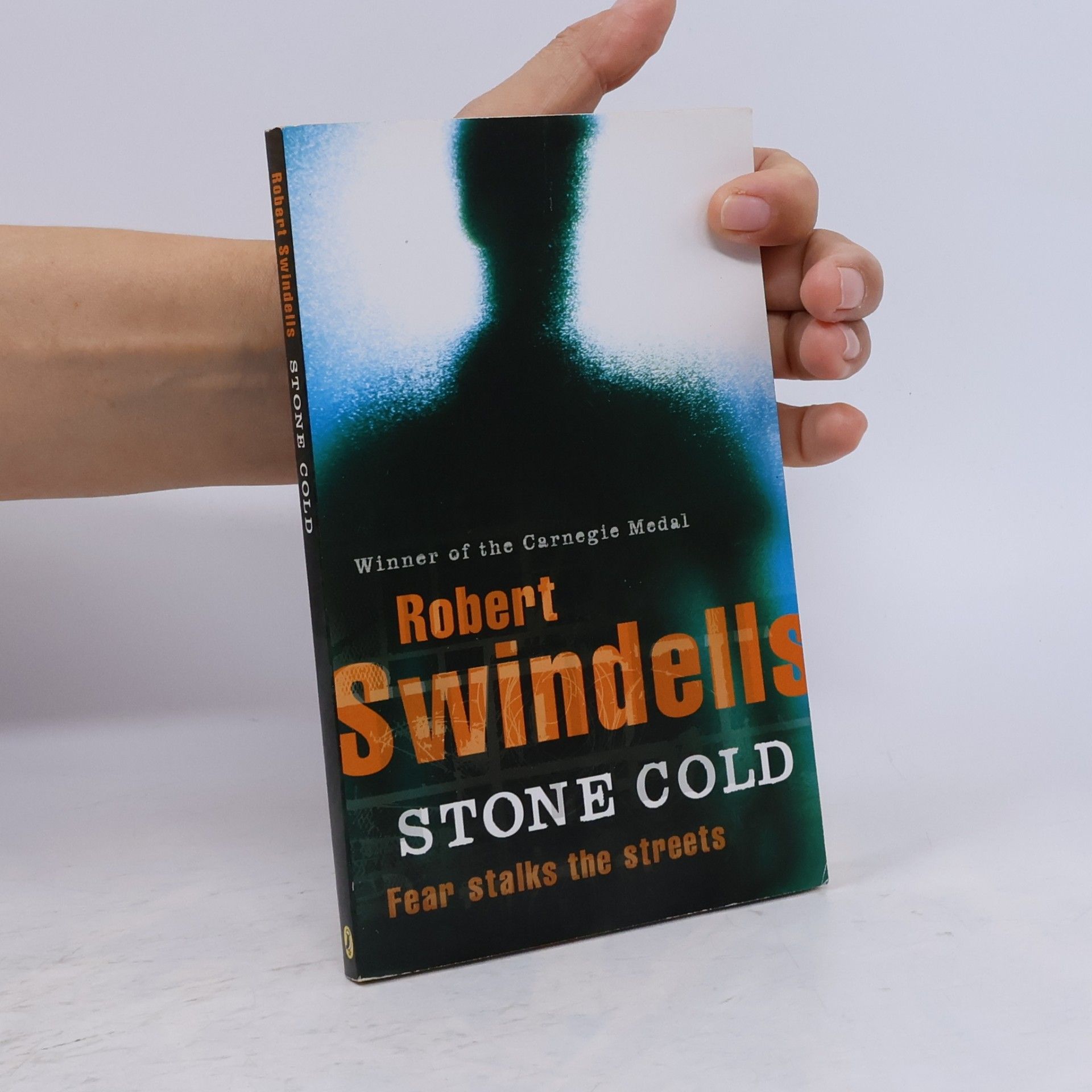 Robert Swindells Stone Cold
