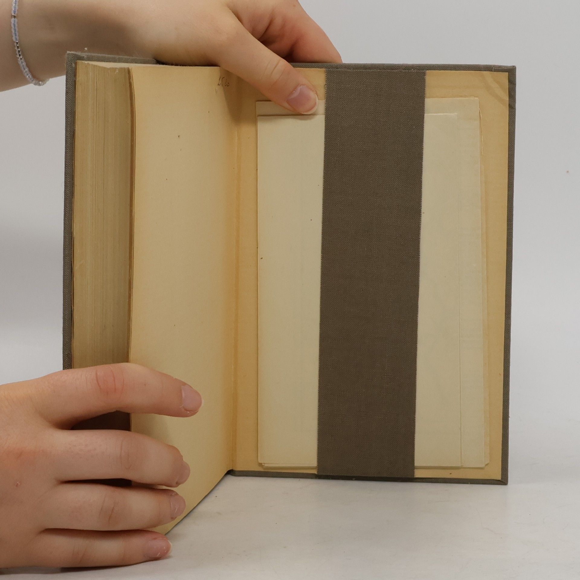 Various authors Die Entwicklungsgeschichte der Erde