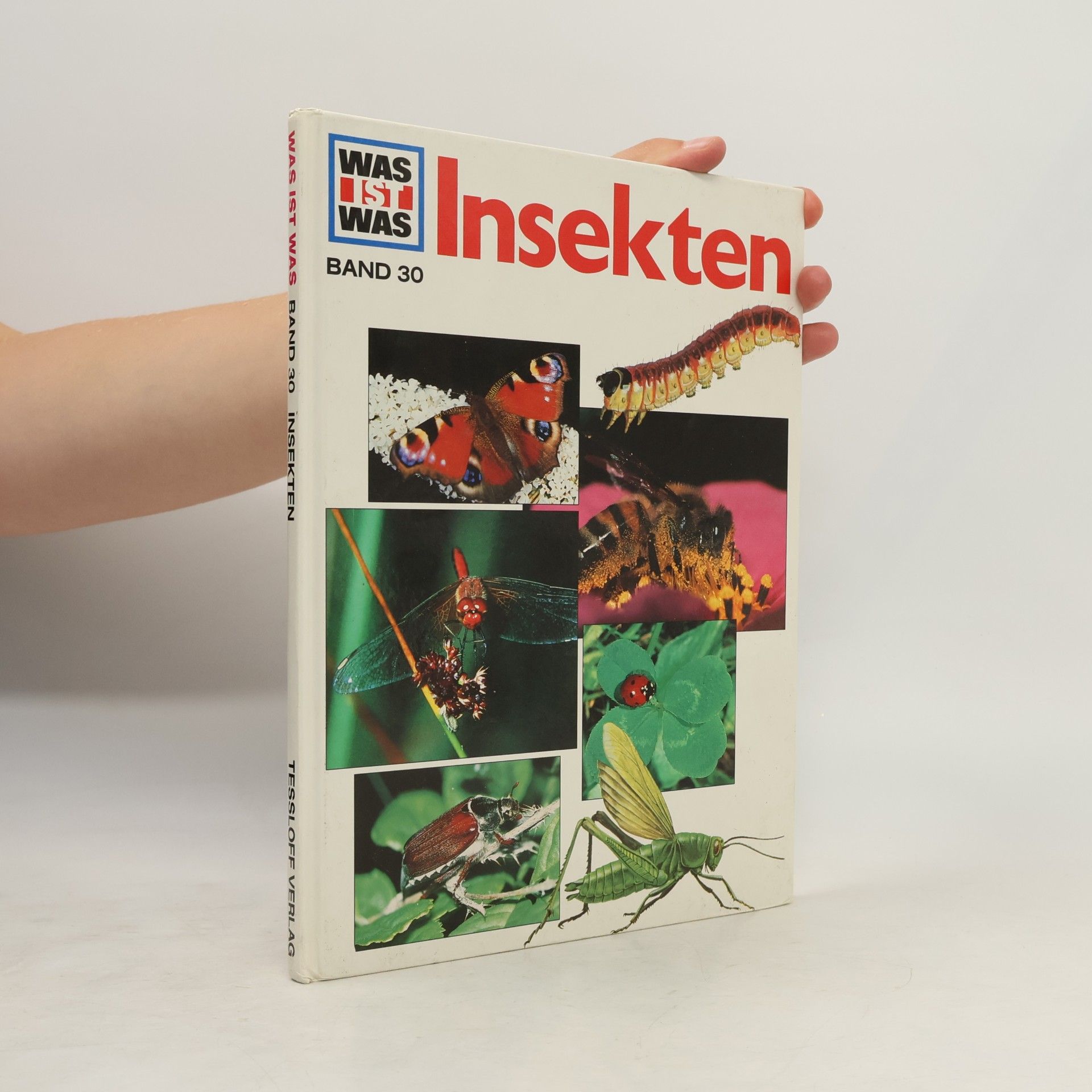 Sabine Steghaus Kovac Insekten