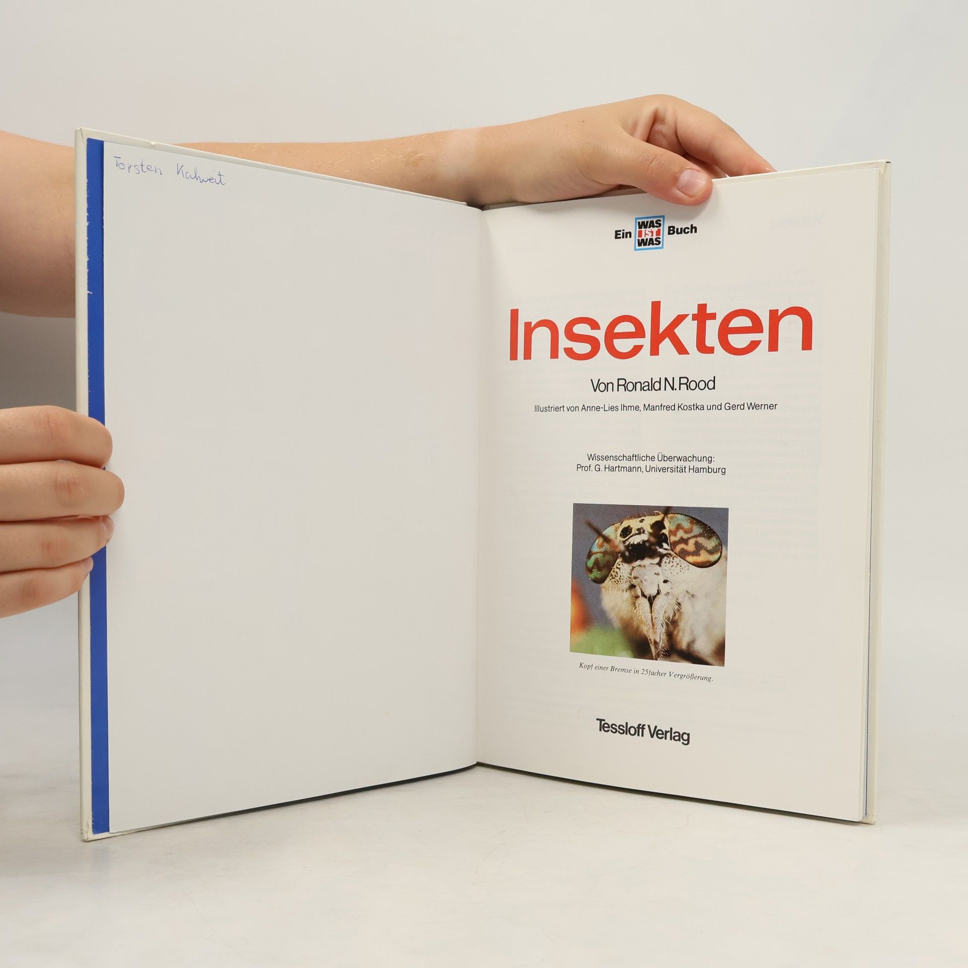 Sabine Steghaus Kovac Insekten