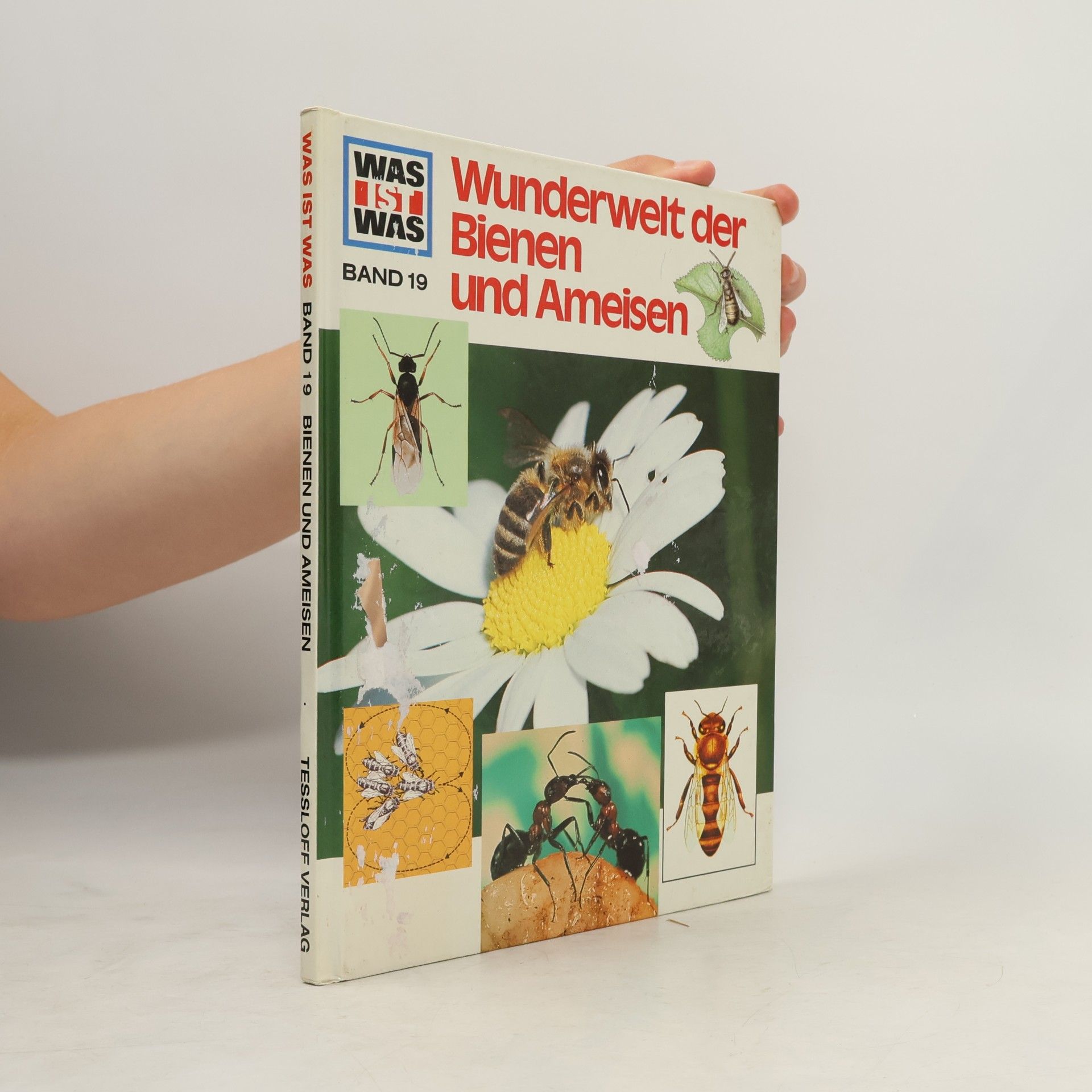 Ronald N. Rood Bienen und Ameisen
