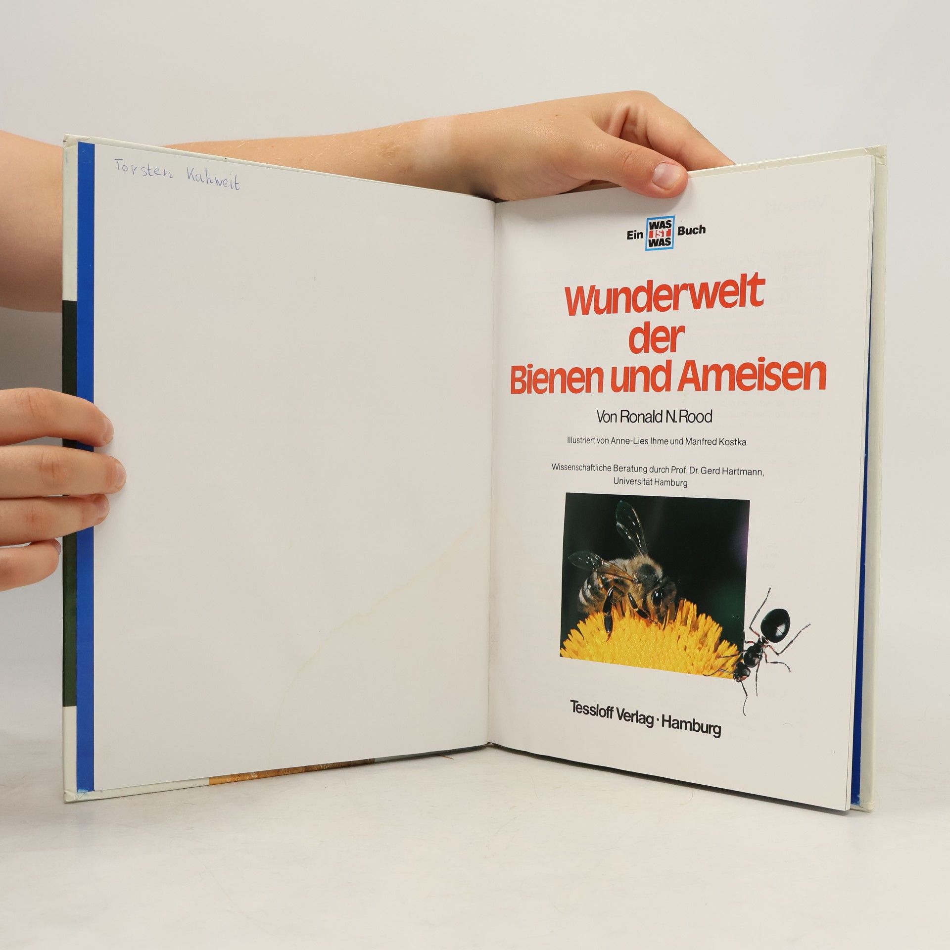 Ronald N. Rood Bienen und Ameisen