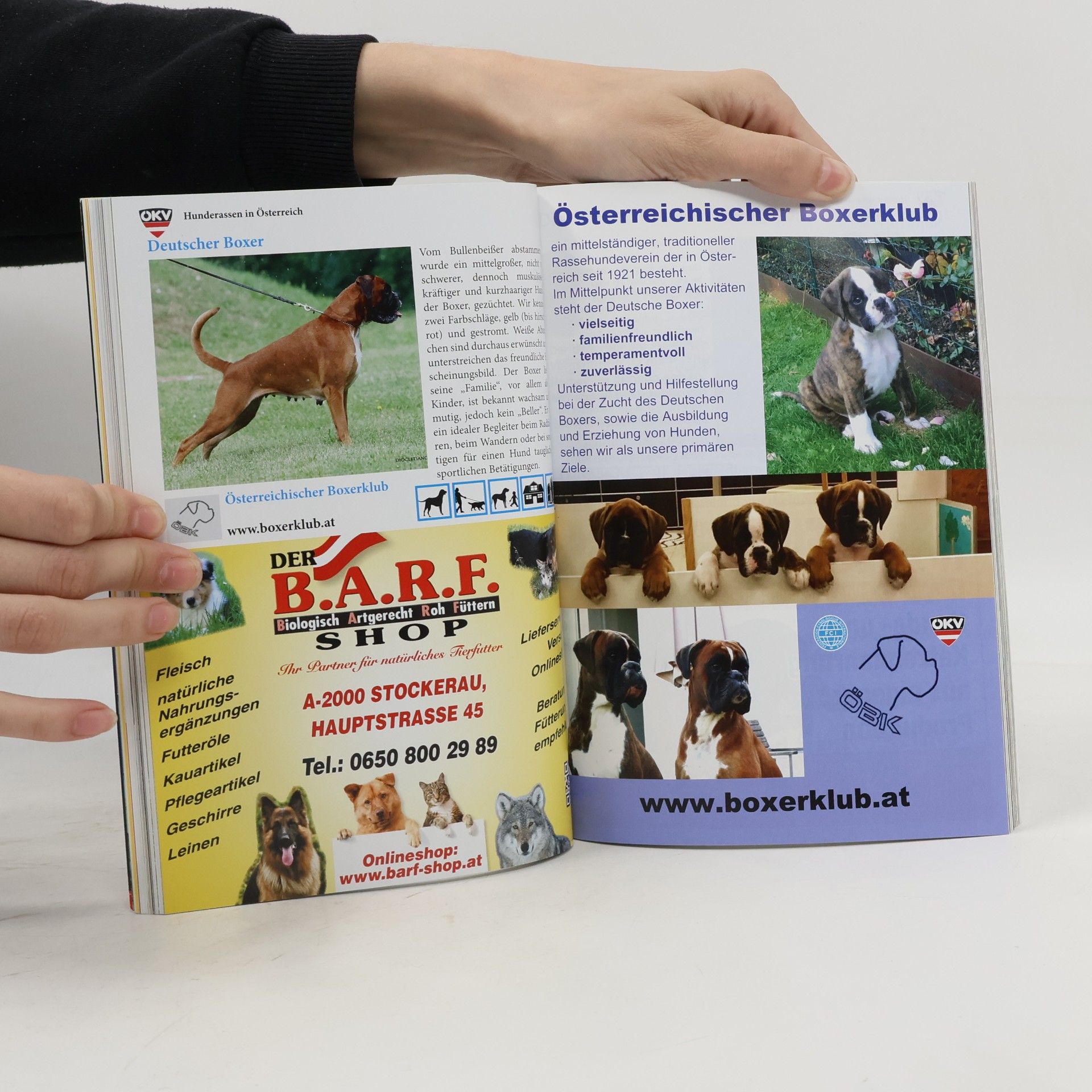Autorenkollektiv Hunderassen in Österreich