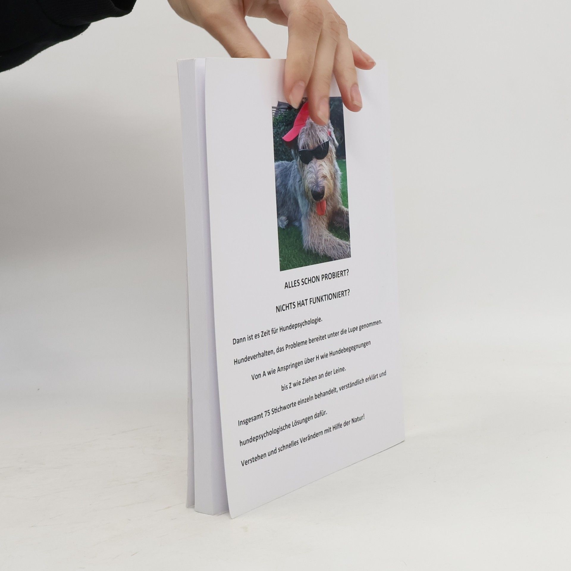 Marisa Müller Das ABC der Hundepsychologie