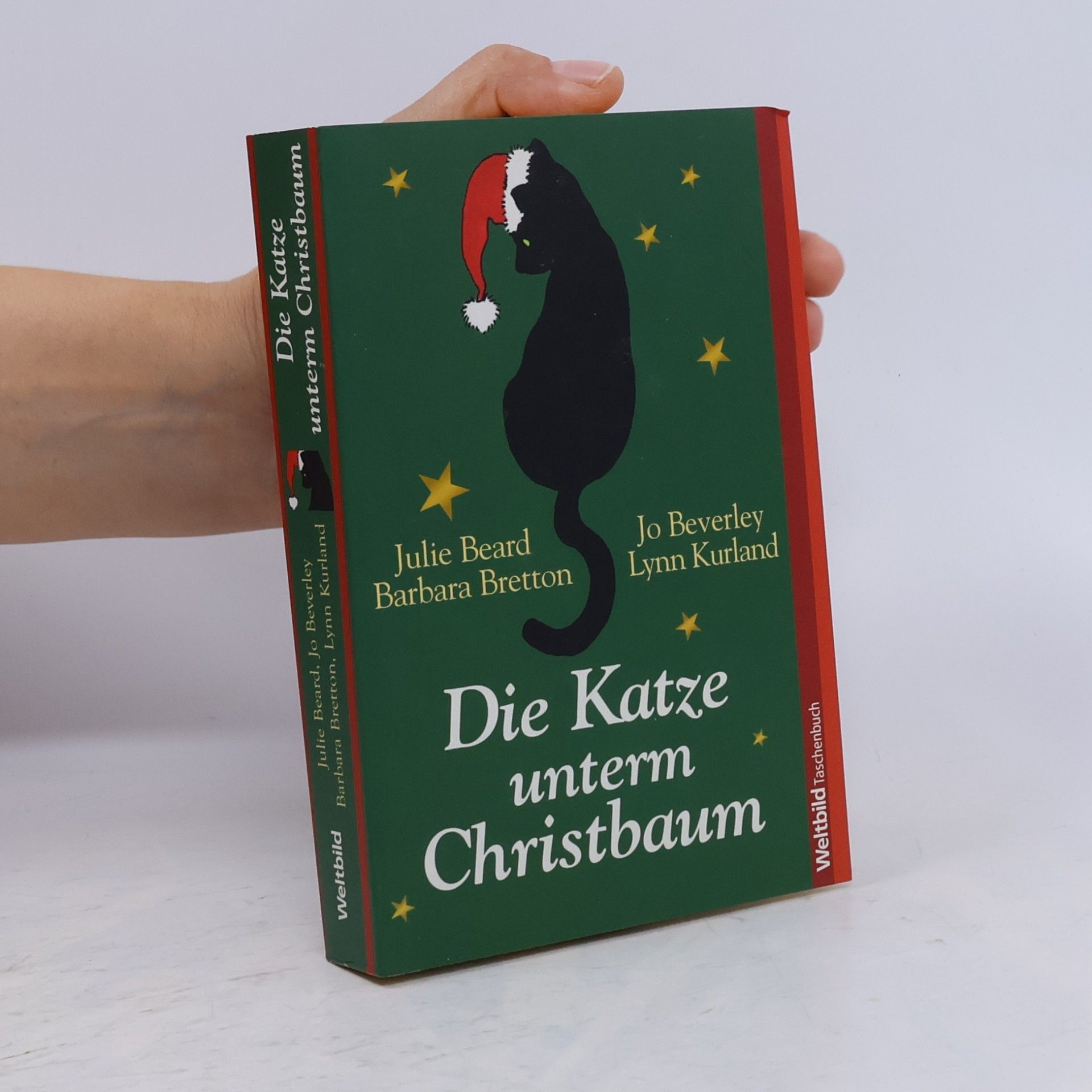 Julie Beard Die Katze unterm Christbaum