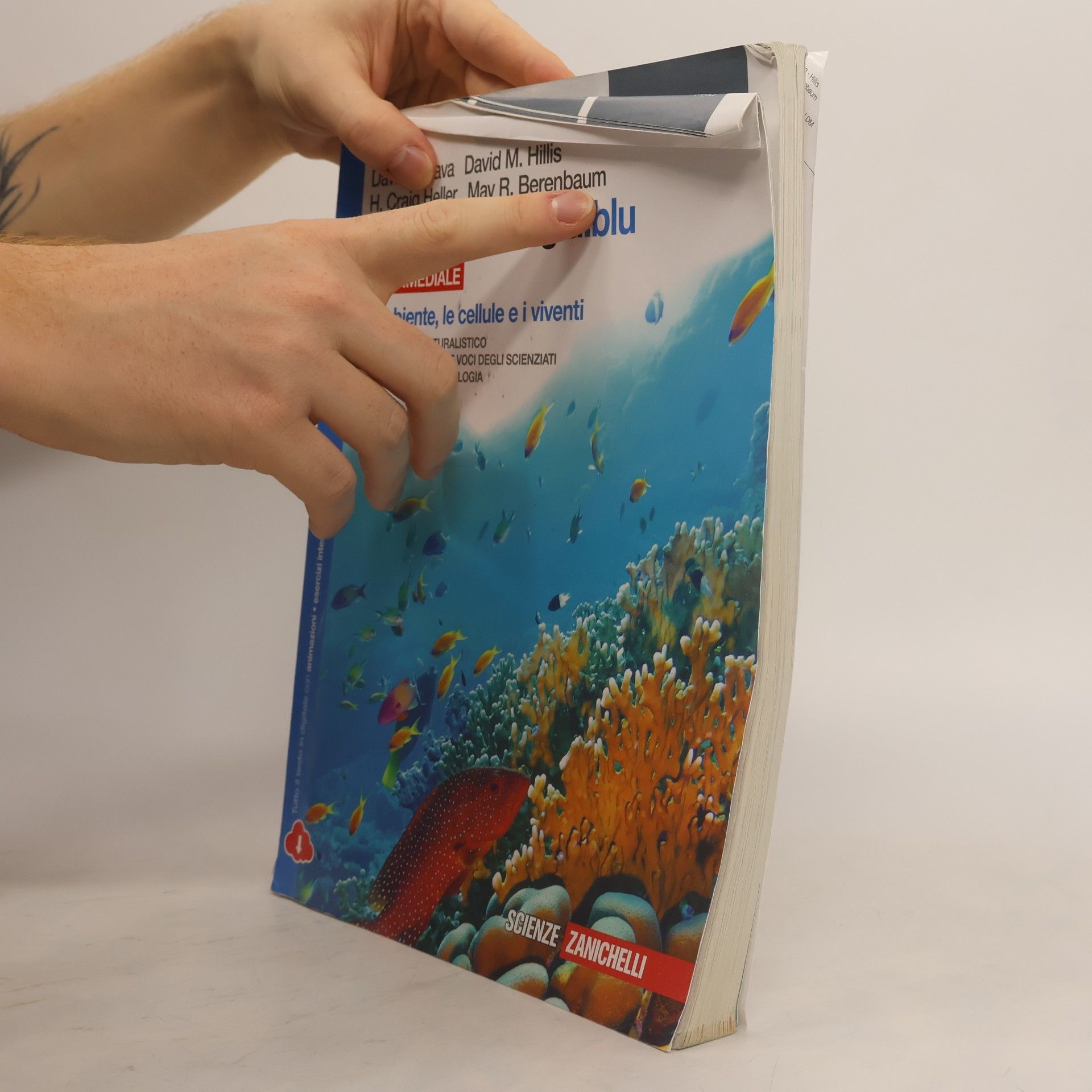 Autorenkollektiv La nuova biologia.blu S. Multimediale