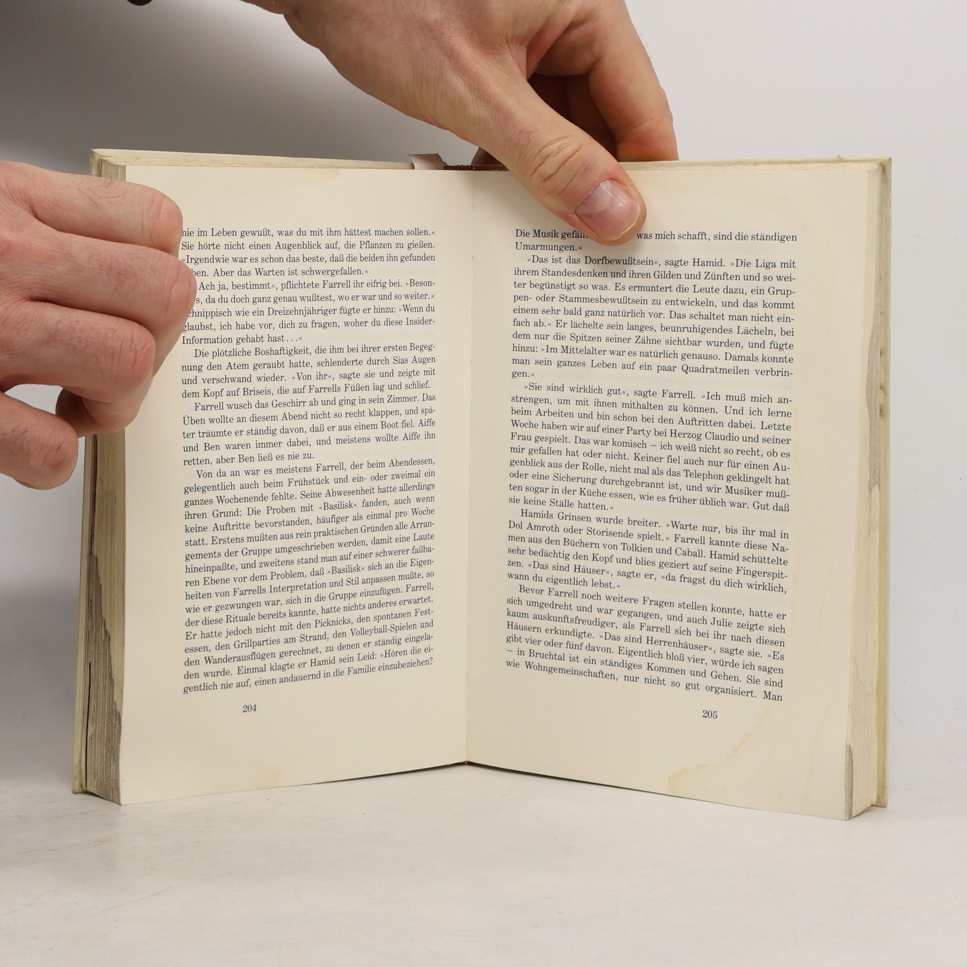 Peter S. Beagle Das Volk der Lüfte