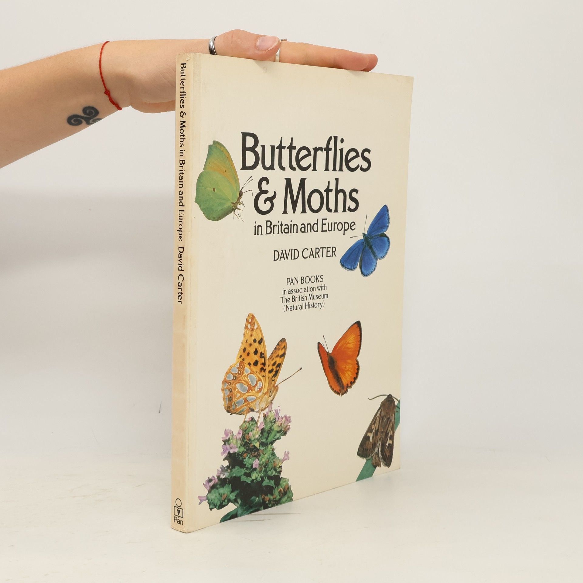 David James Carter Butterflies & Moths in Britain & Europe