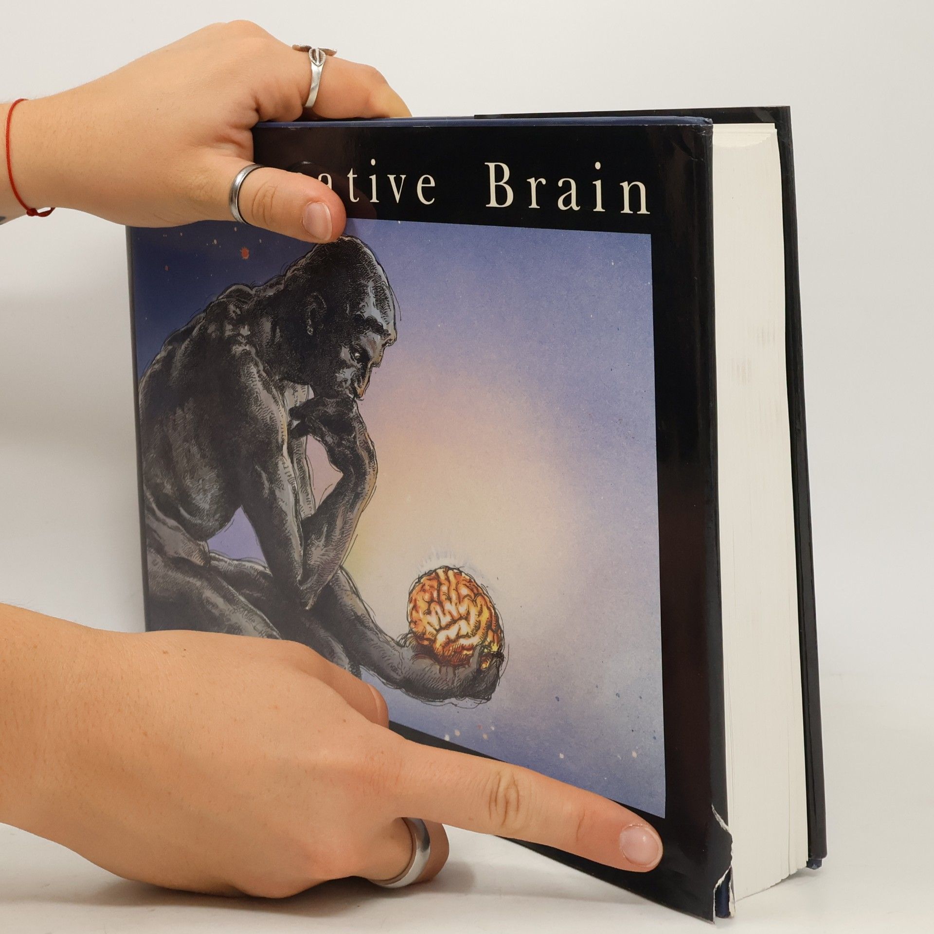 Ned Herrmann The Creative Brain