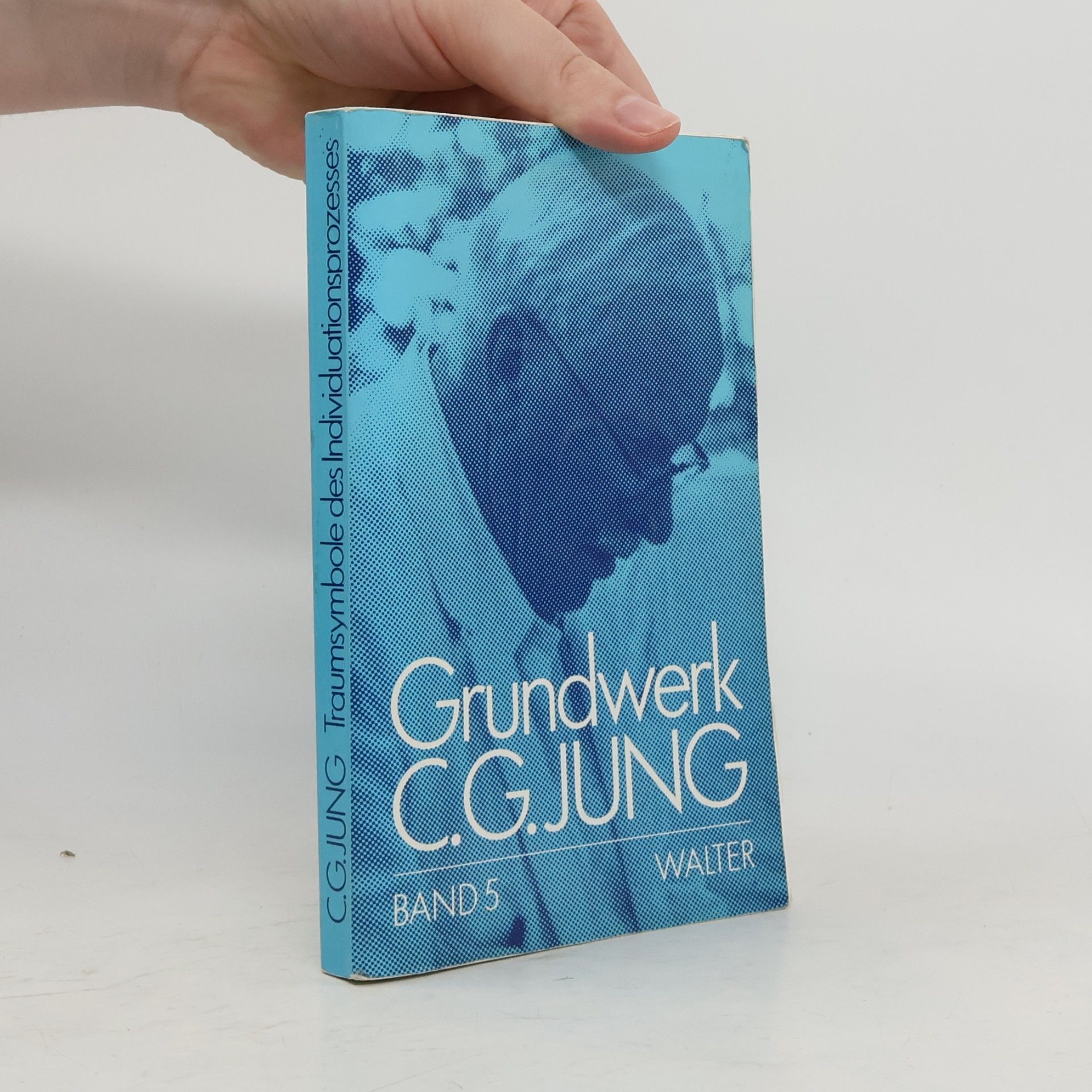 Carl Jung Grundwerk Band 5