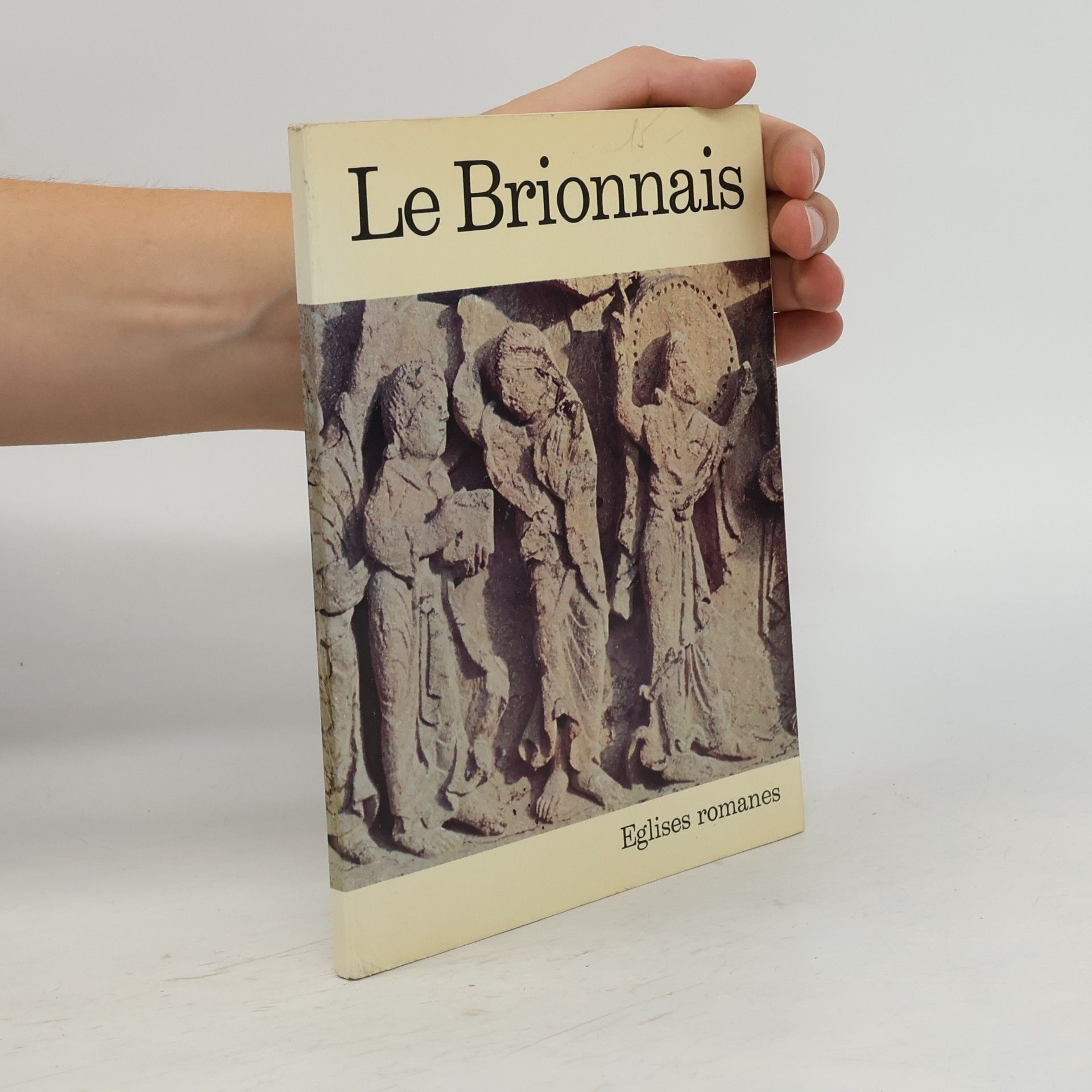Liliane Schneiter Le Brionnais