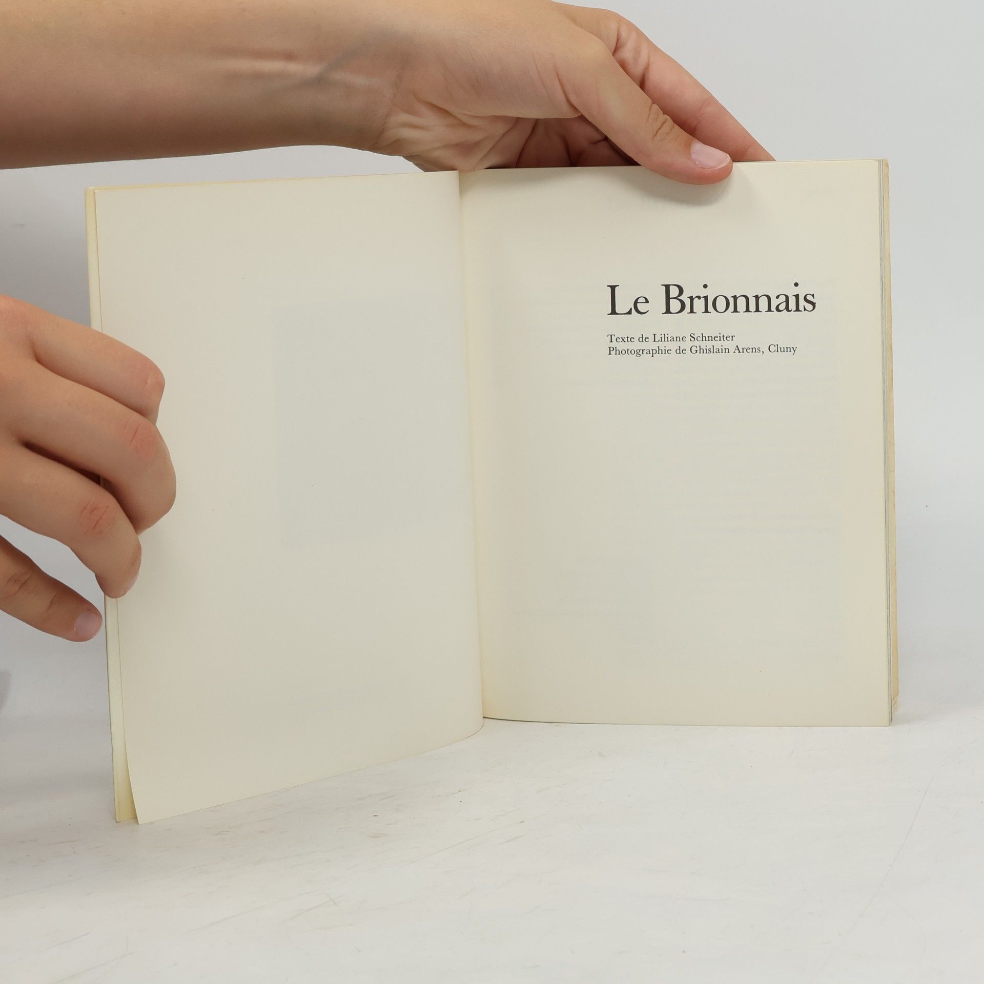 Liliane Schneiter Le Brionnais