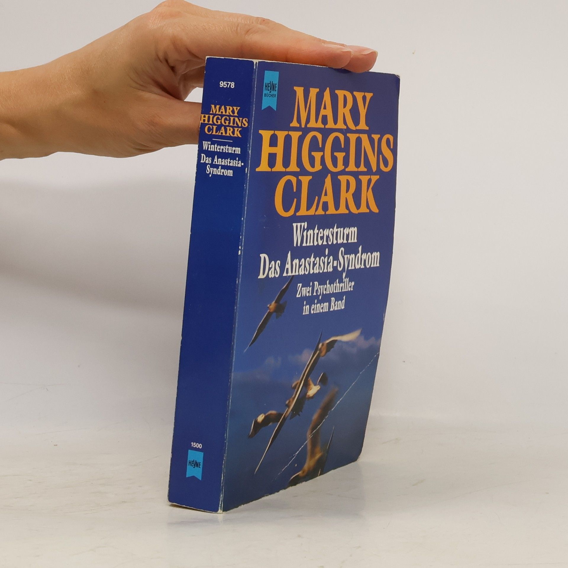 Mary Higgins Clark Wintersturm / Das Anastasia-Syndrom.