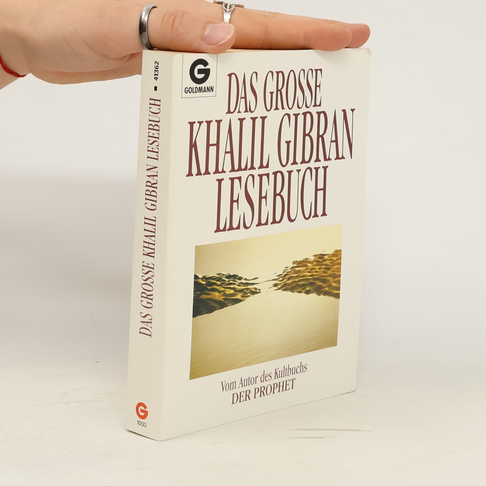 Das grosse Khalil Gibran Lesebuch