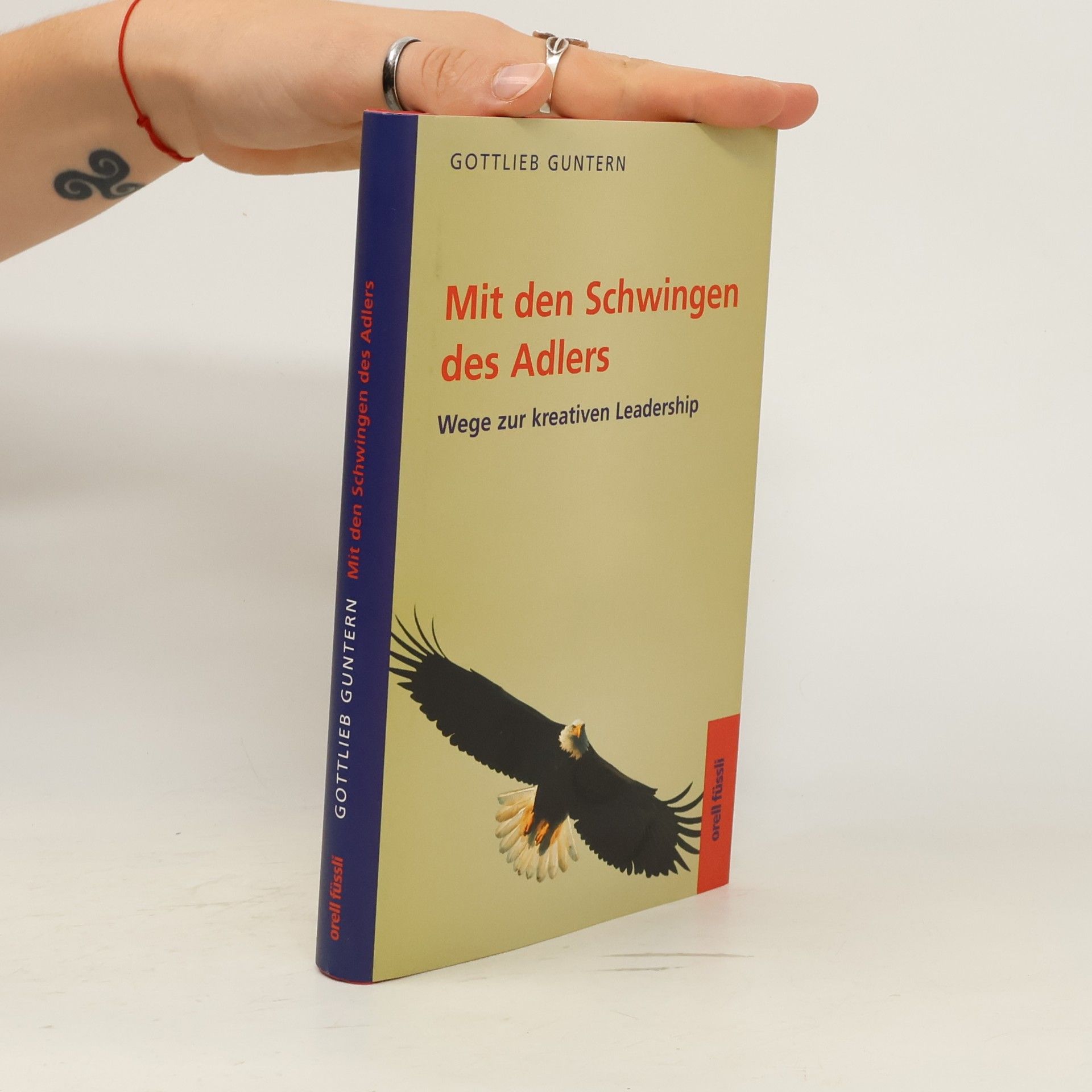 Gottlieb Guntern Mit den Schwingen des Adlers