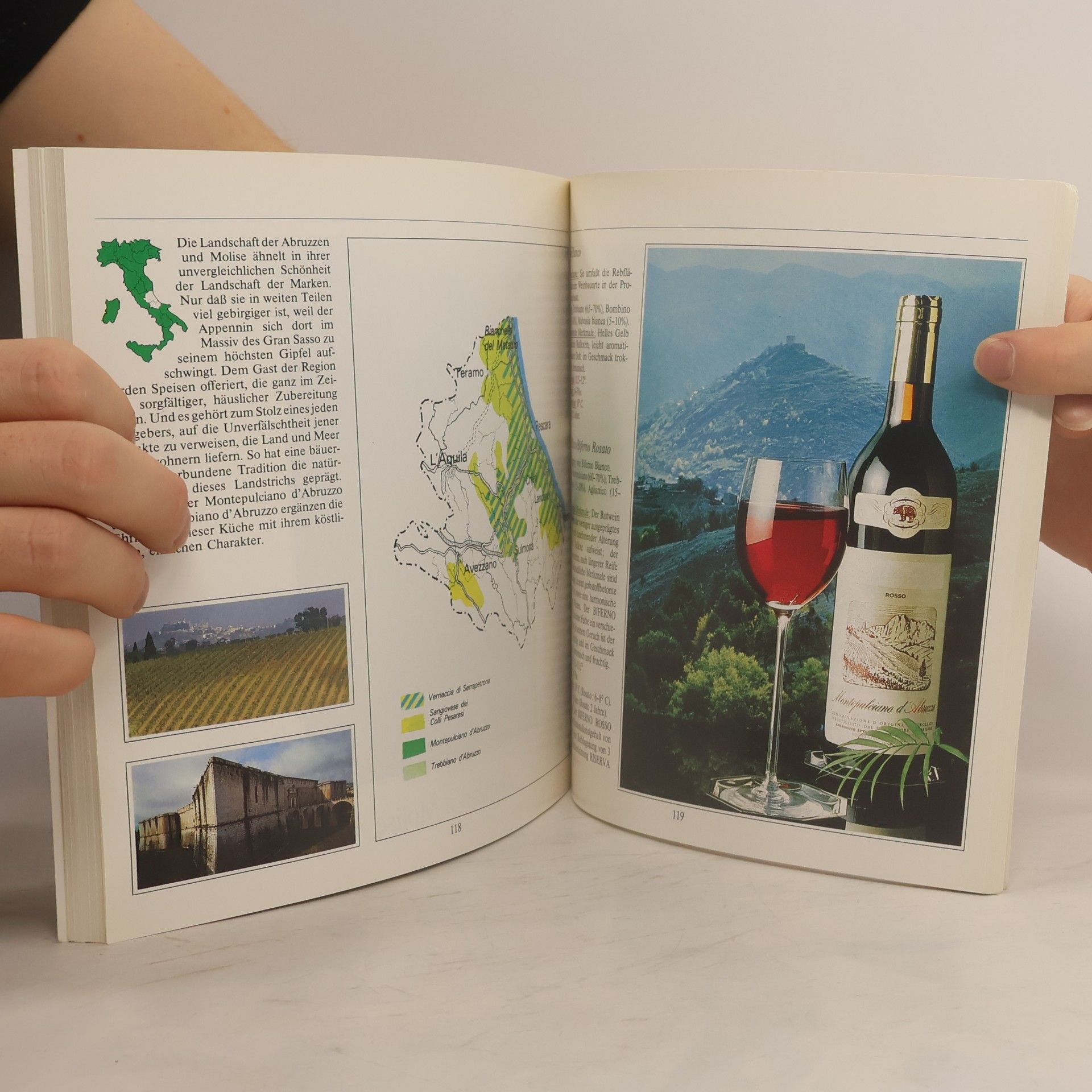kolektiv Große Weine aus Italien