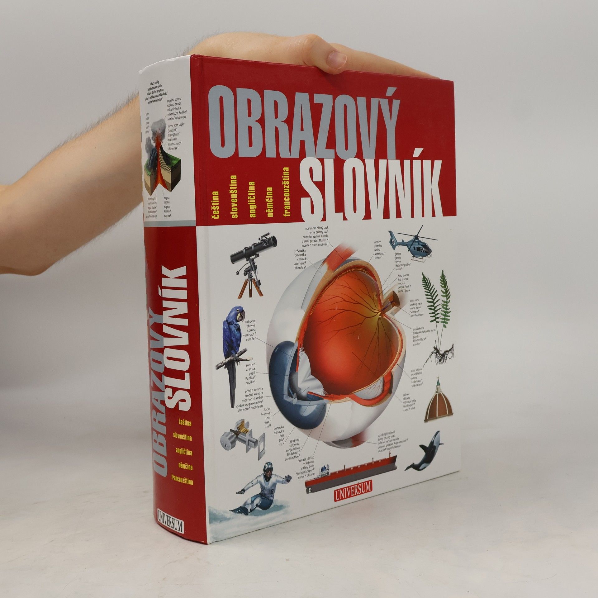 Obrazový slovník : čeština, slovenština, angličtina, němčina, francouzština
