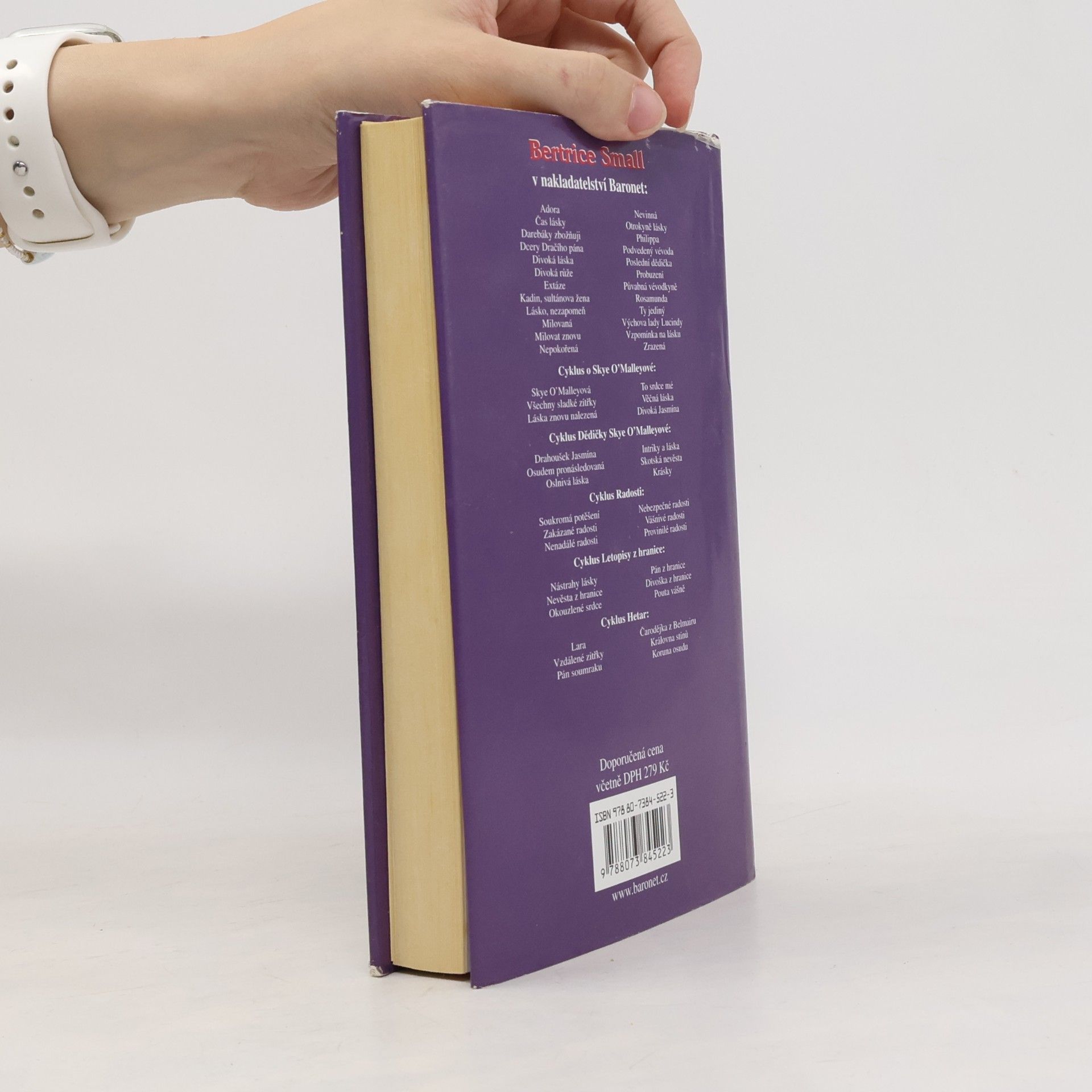 Bertrice Small Pouta vášně
