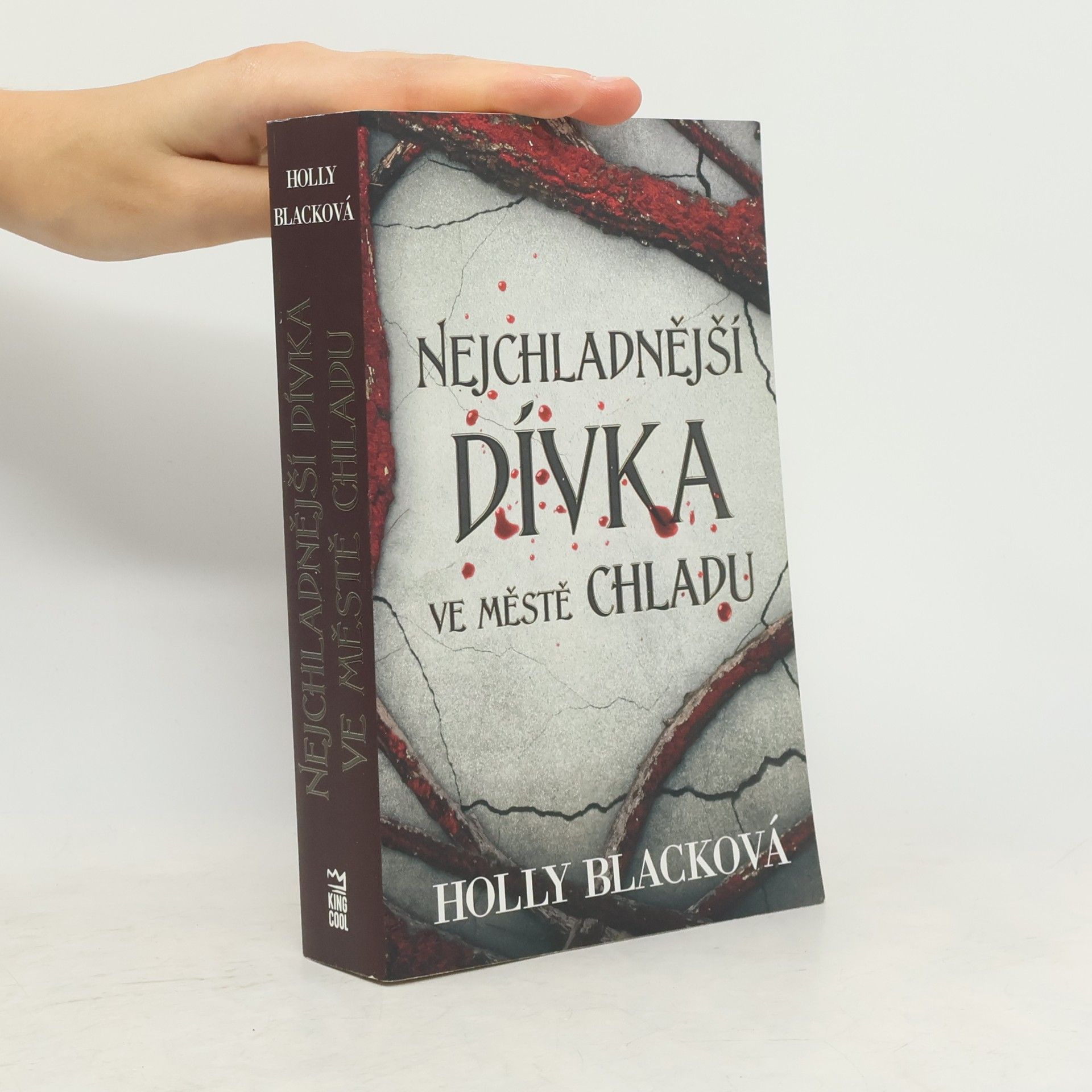 Holly Black Nejchladnější dívka ve městě chladu