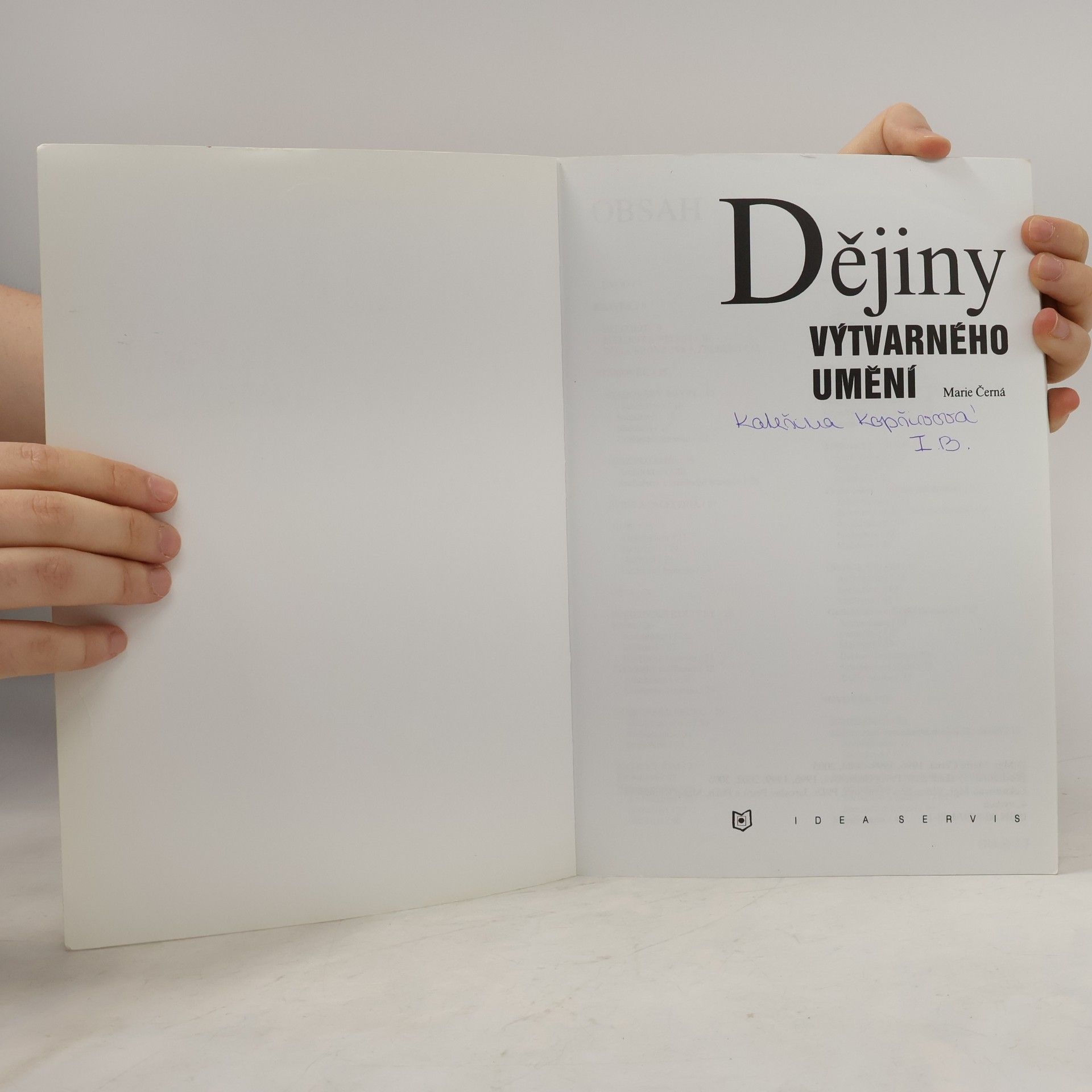 Marie Černá Dějiny výtvarného umění