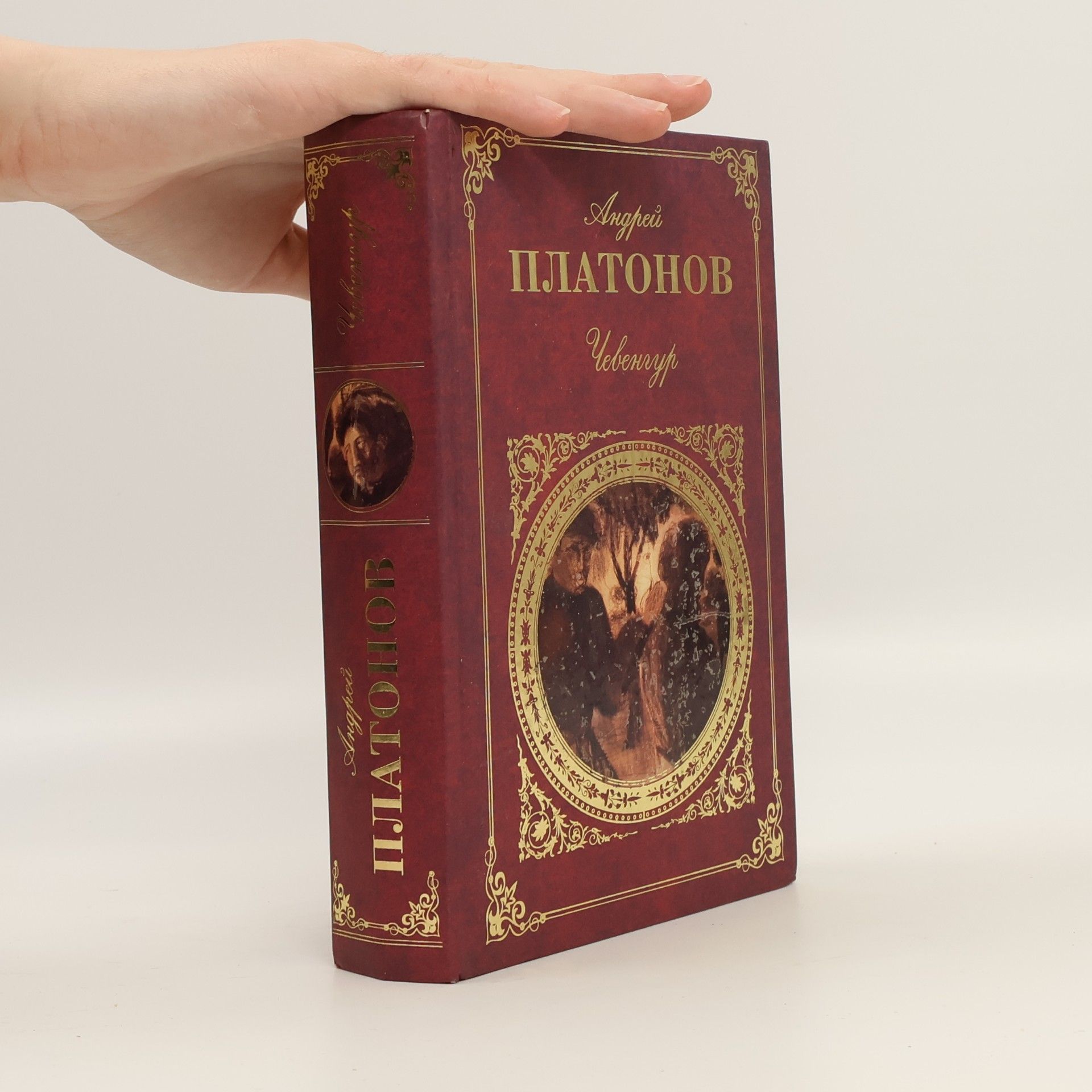 Andreĭ Platonovich Platonov Чевенгур