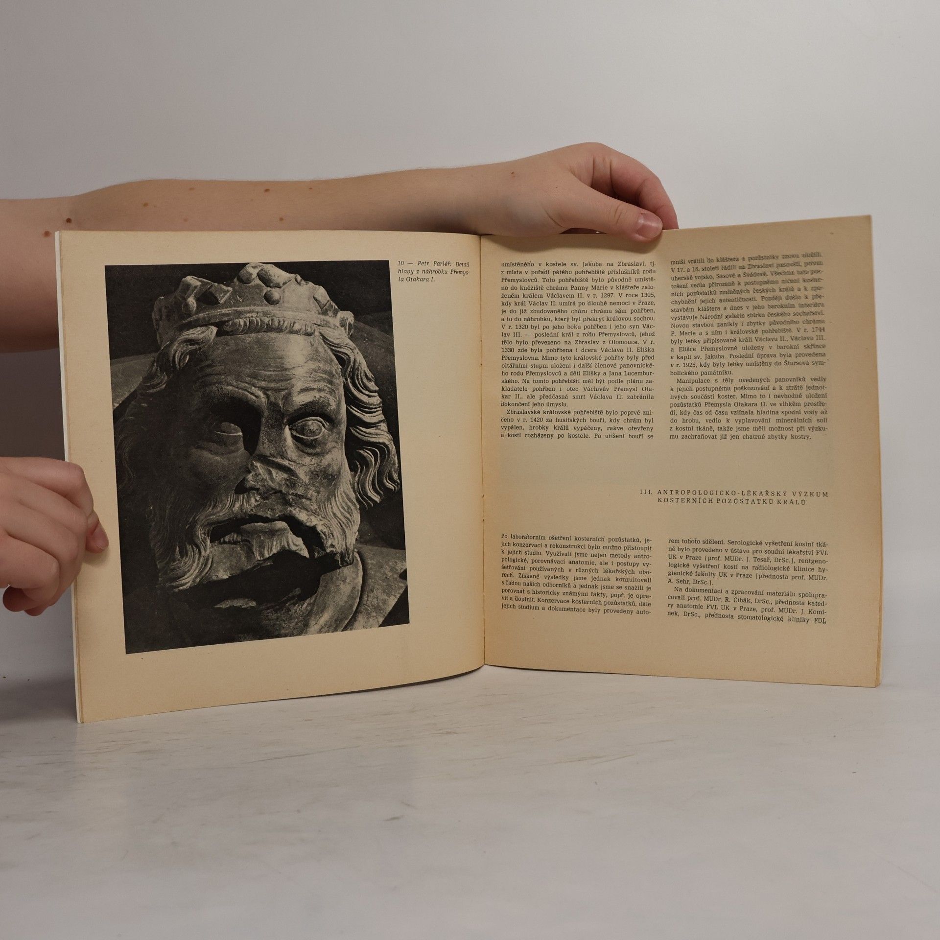 Emanuel Vlček Poslední Přemyslovci : tělesné vlastnosti českých králů 3.-7. generace ve světle antropologicko lékařského průzkumu