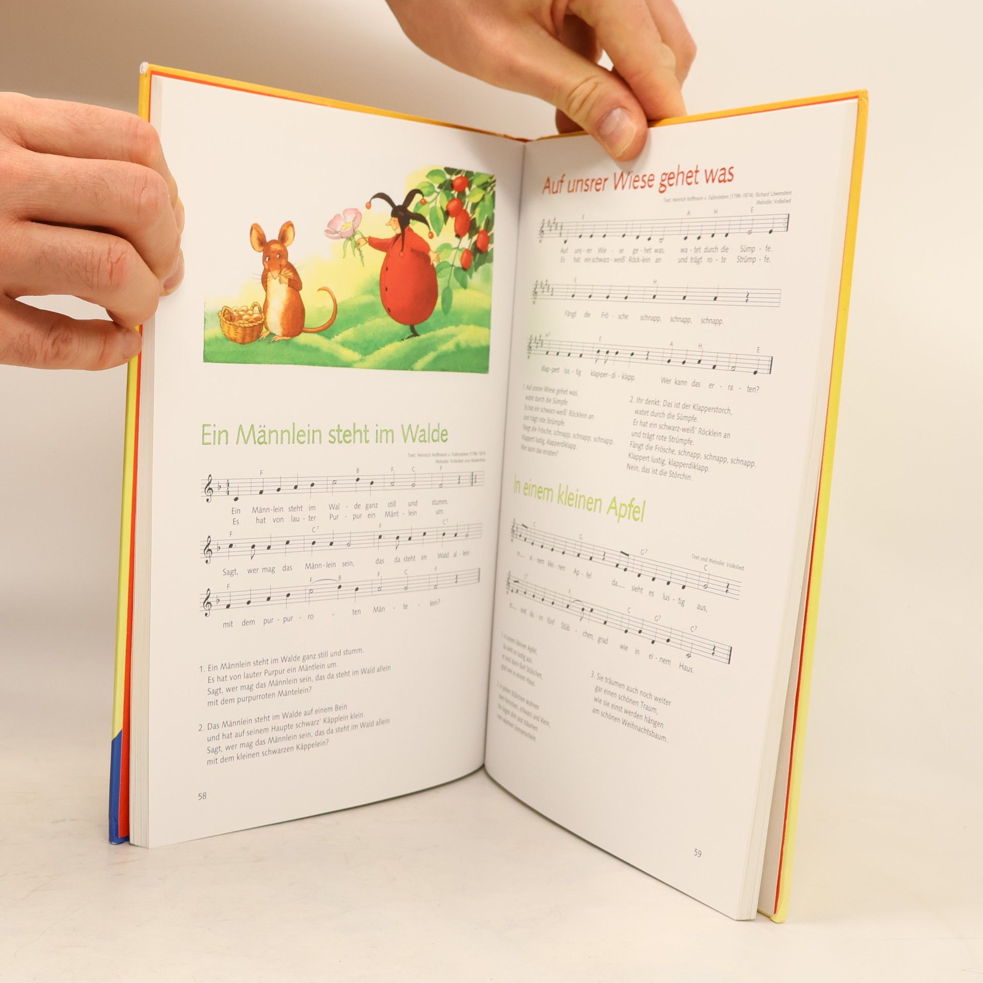 Autorenkollektiv Der große Ravensburger Liederschatz