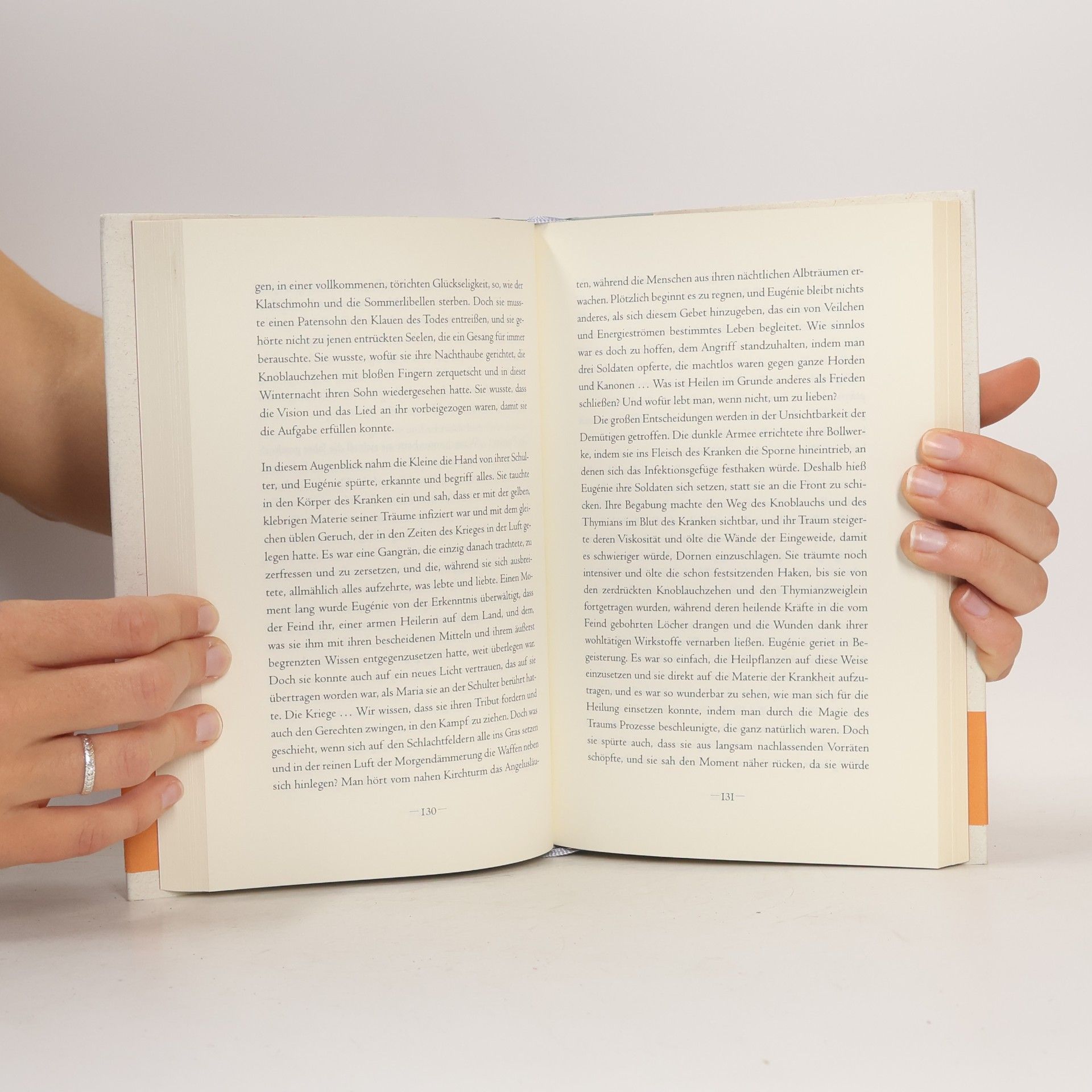 Muriel Barbery Das Leben der Elfen
