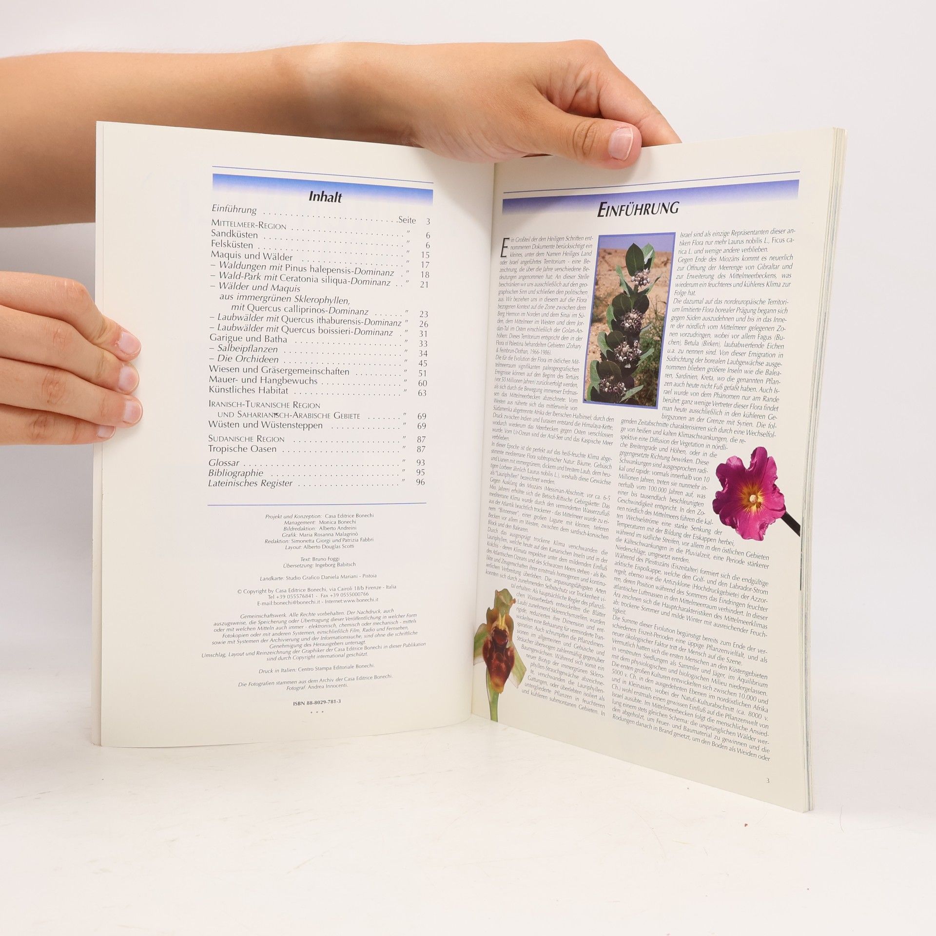 Bruno Foggi Blumenwelt Israels