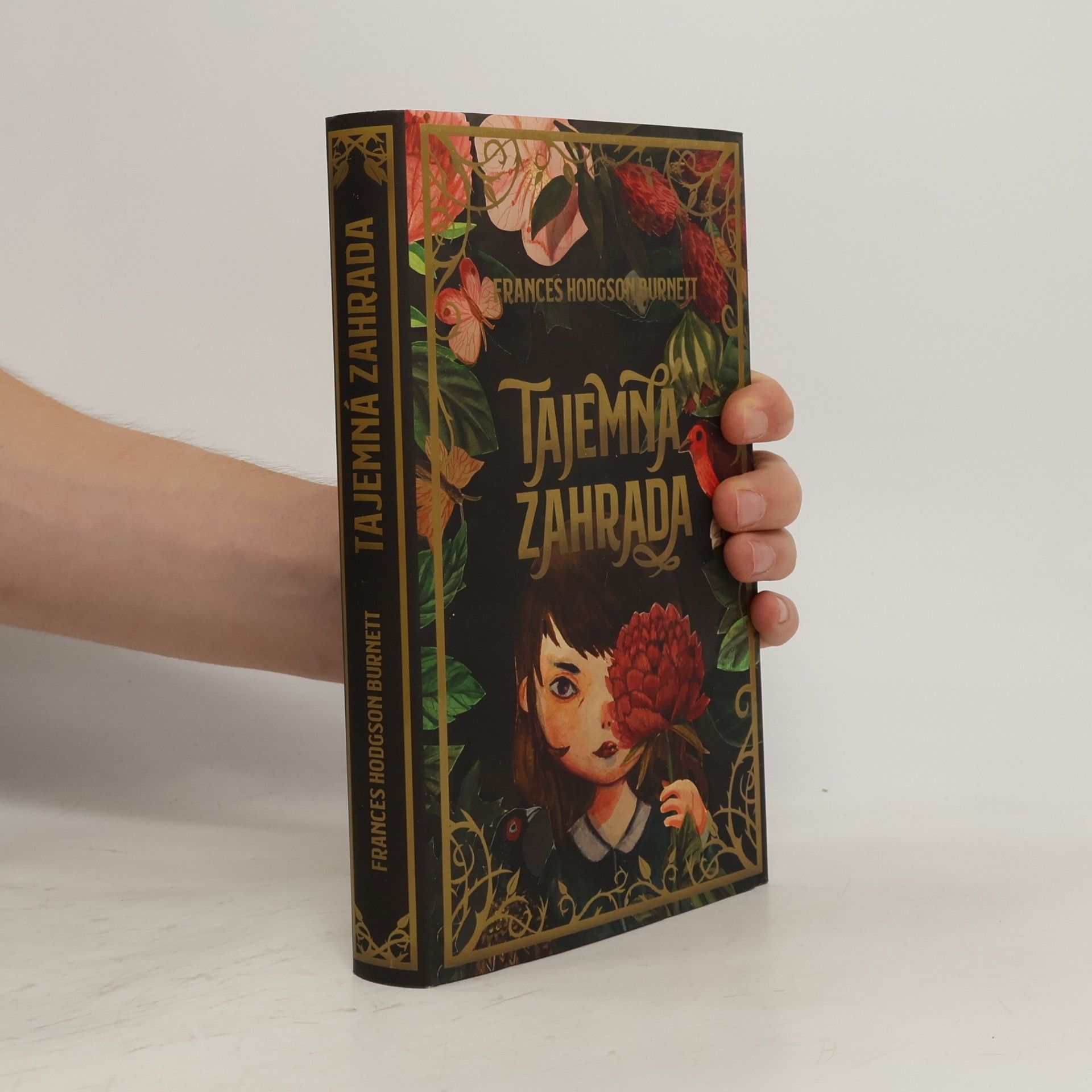 Frances Hodgson Burnett Tajemná zahrada