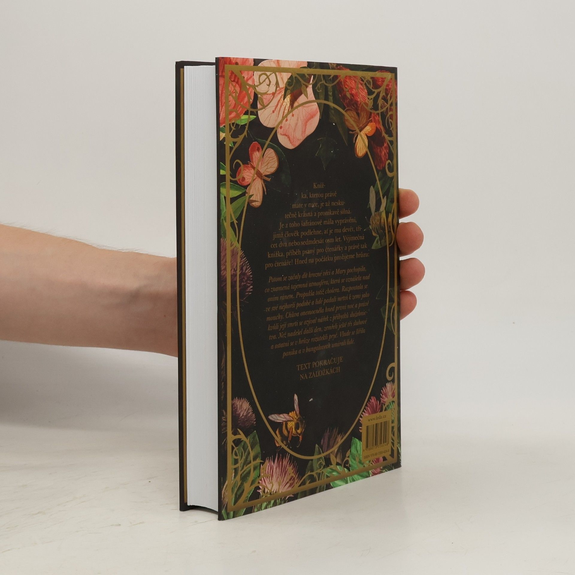 Frances Hodgson Burnett Tajemná zahrada