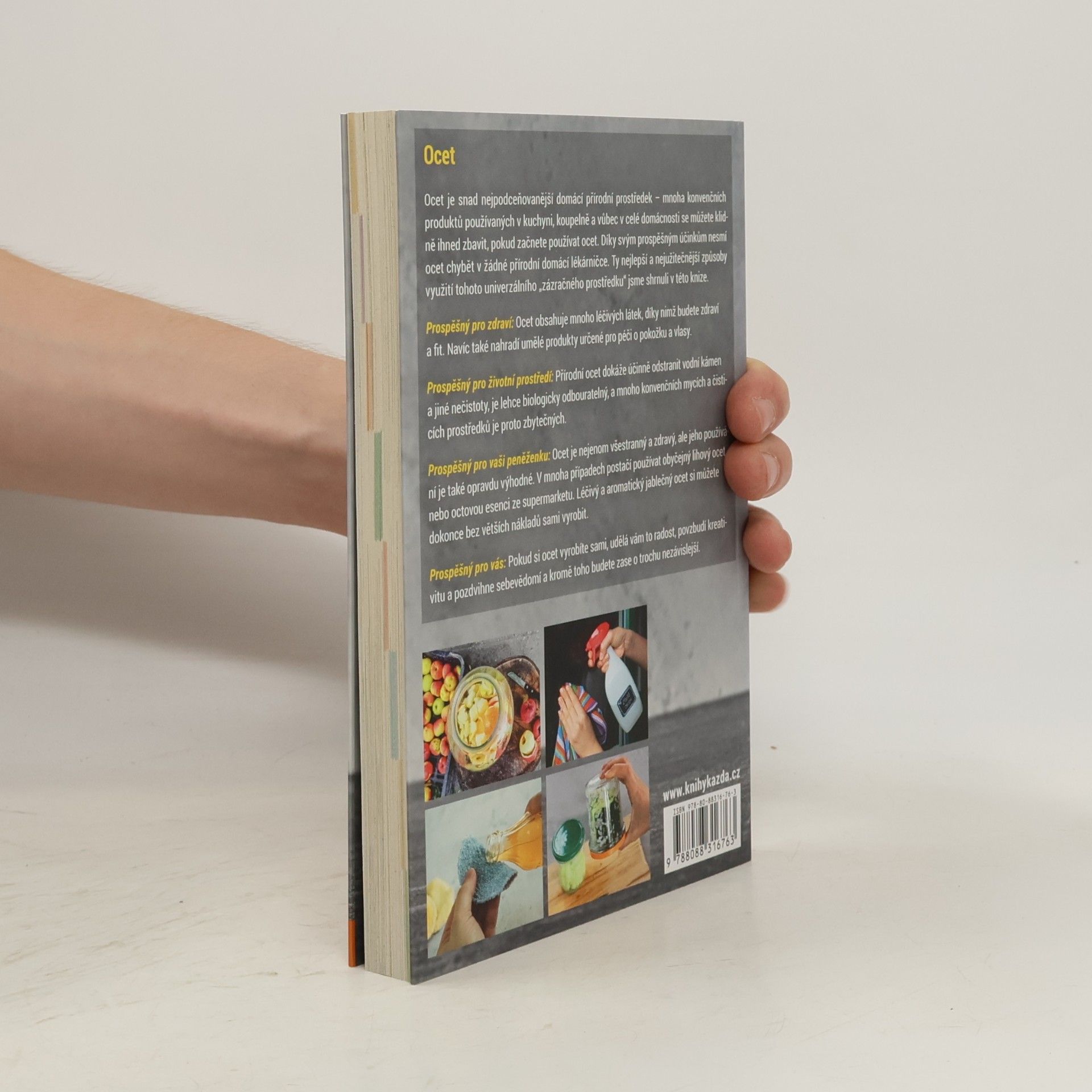 Autorenkollektiv Ocet - univerzální domácí prostředek