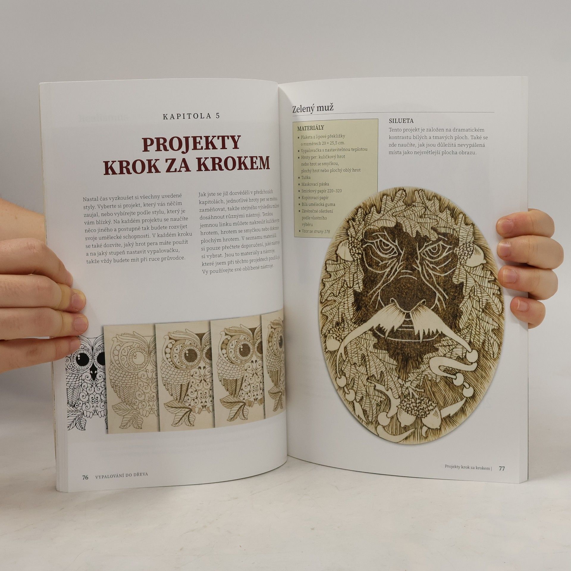 Lora S. Irish Vypalování do dřeva : pyrografie pro každého
