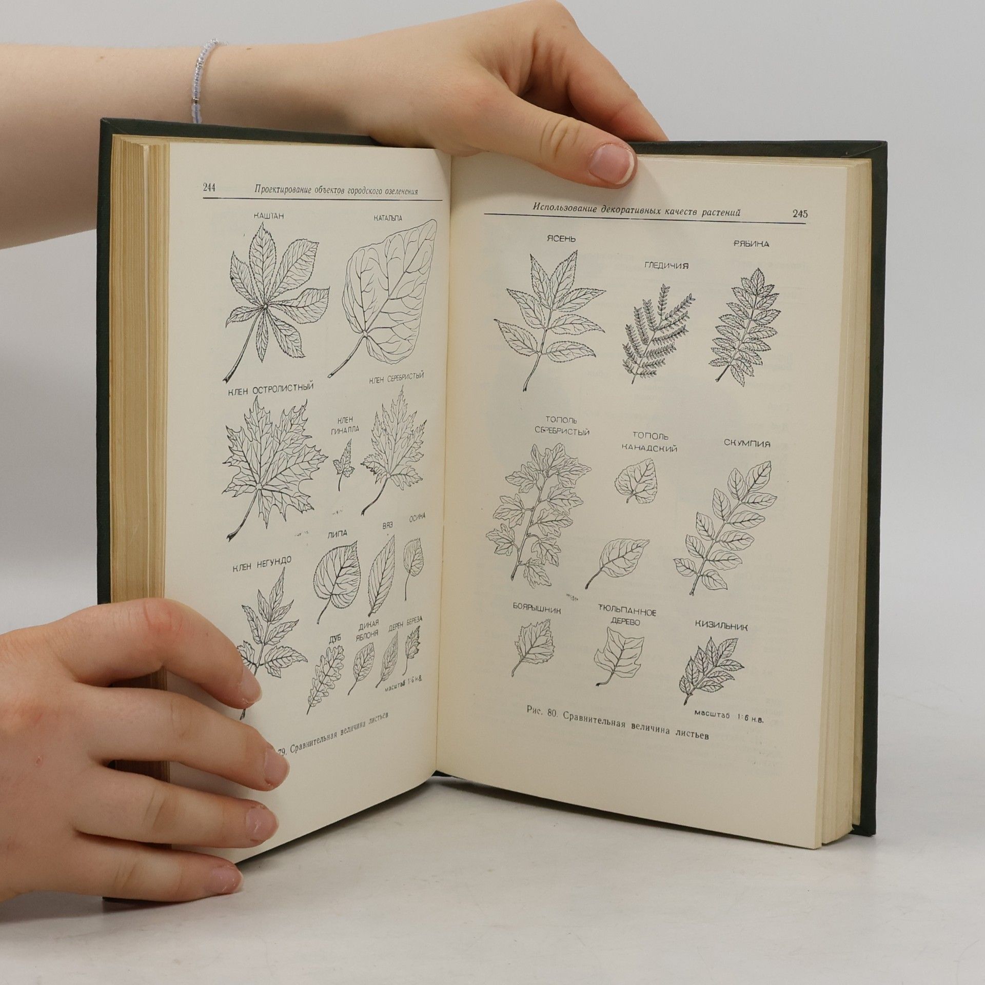 Autorenkollektiv Справочник архитектора том III, полутом II