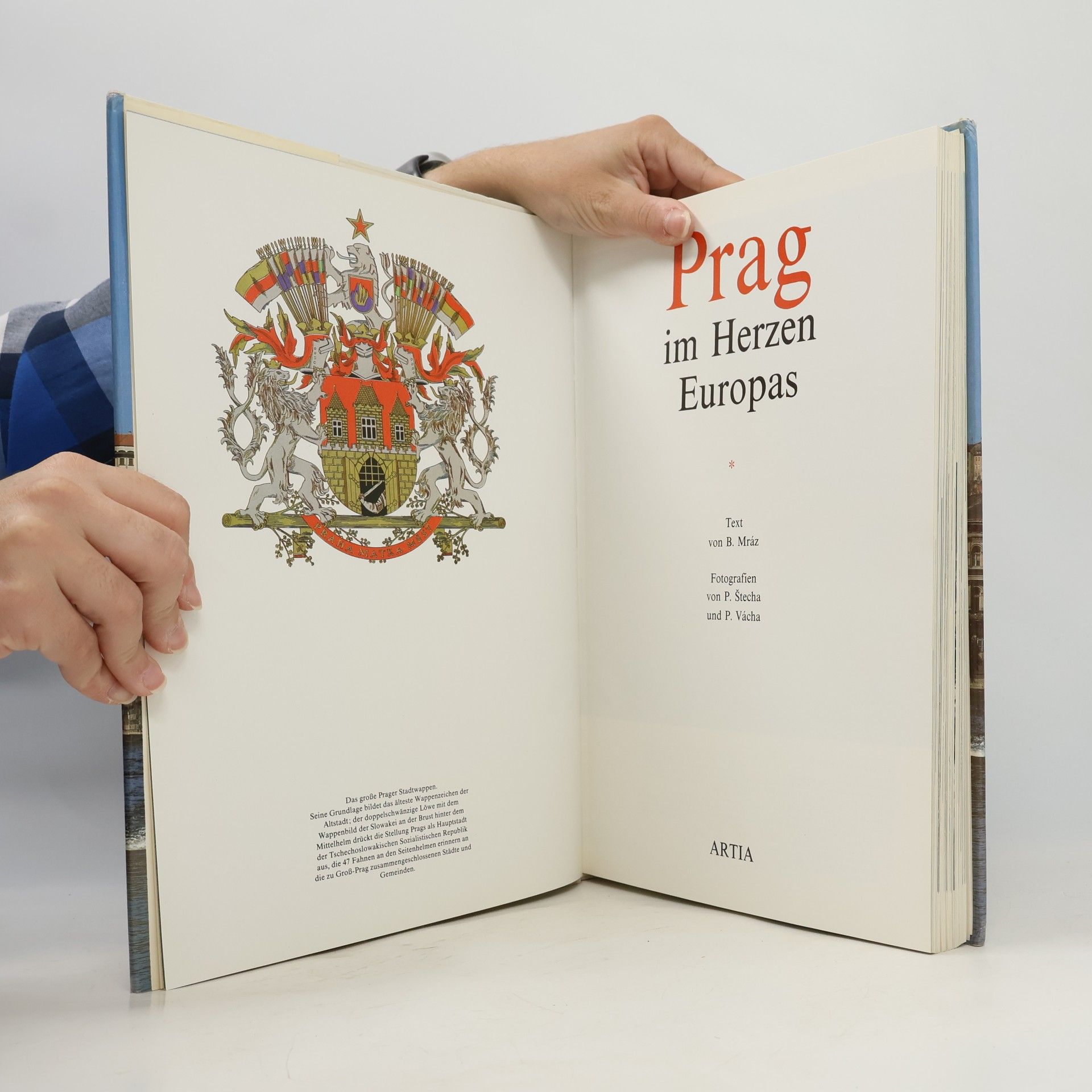 Autorenkollektiv Prag im Herzen Europas
