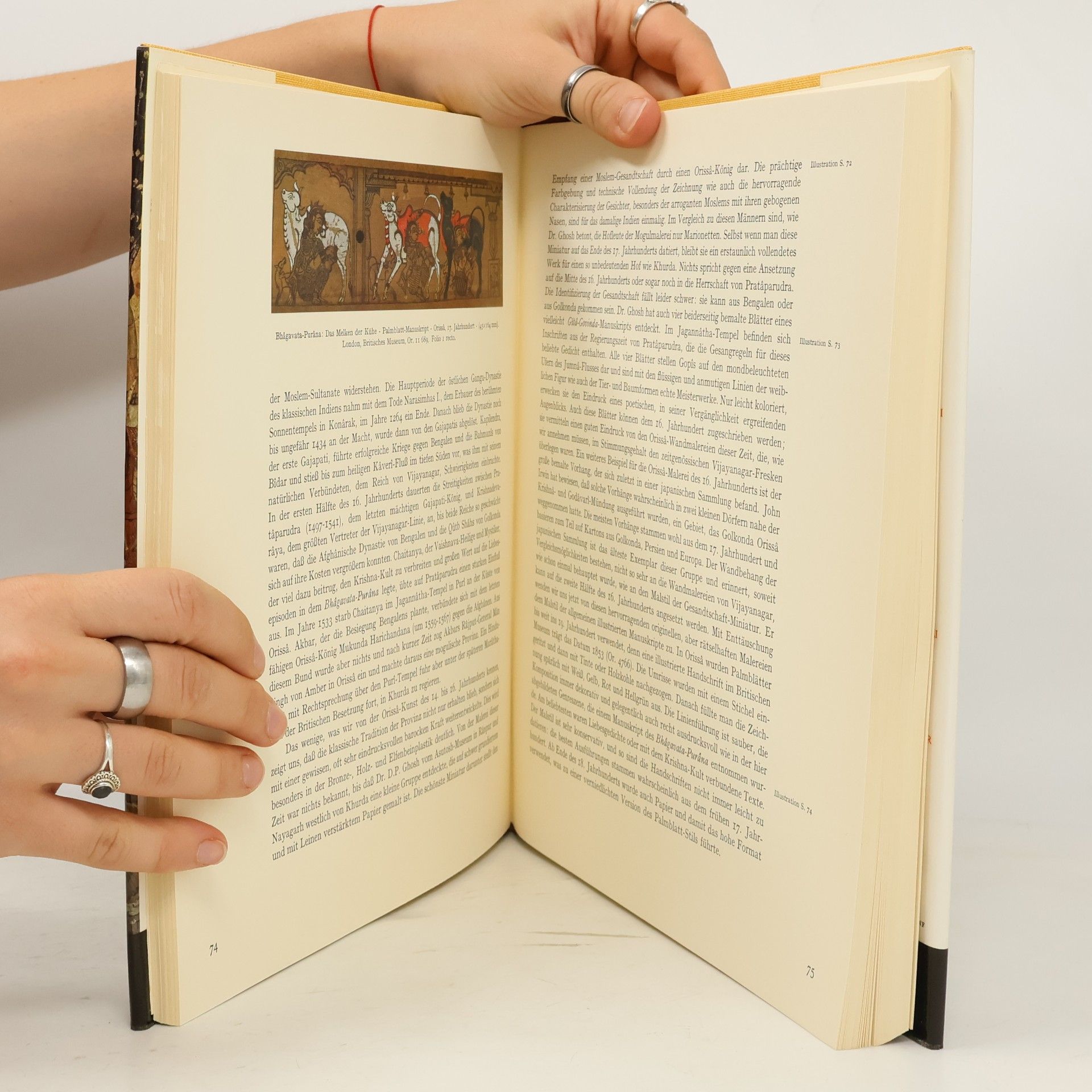 Autorenkollektiv Die kunstschätze Asien. Indische Malerei