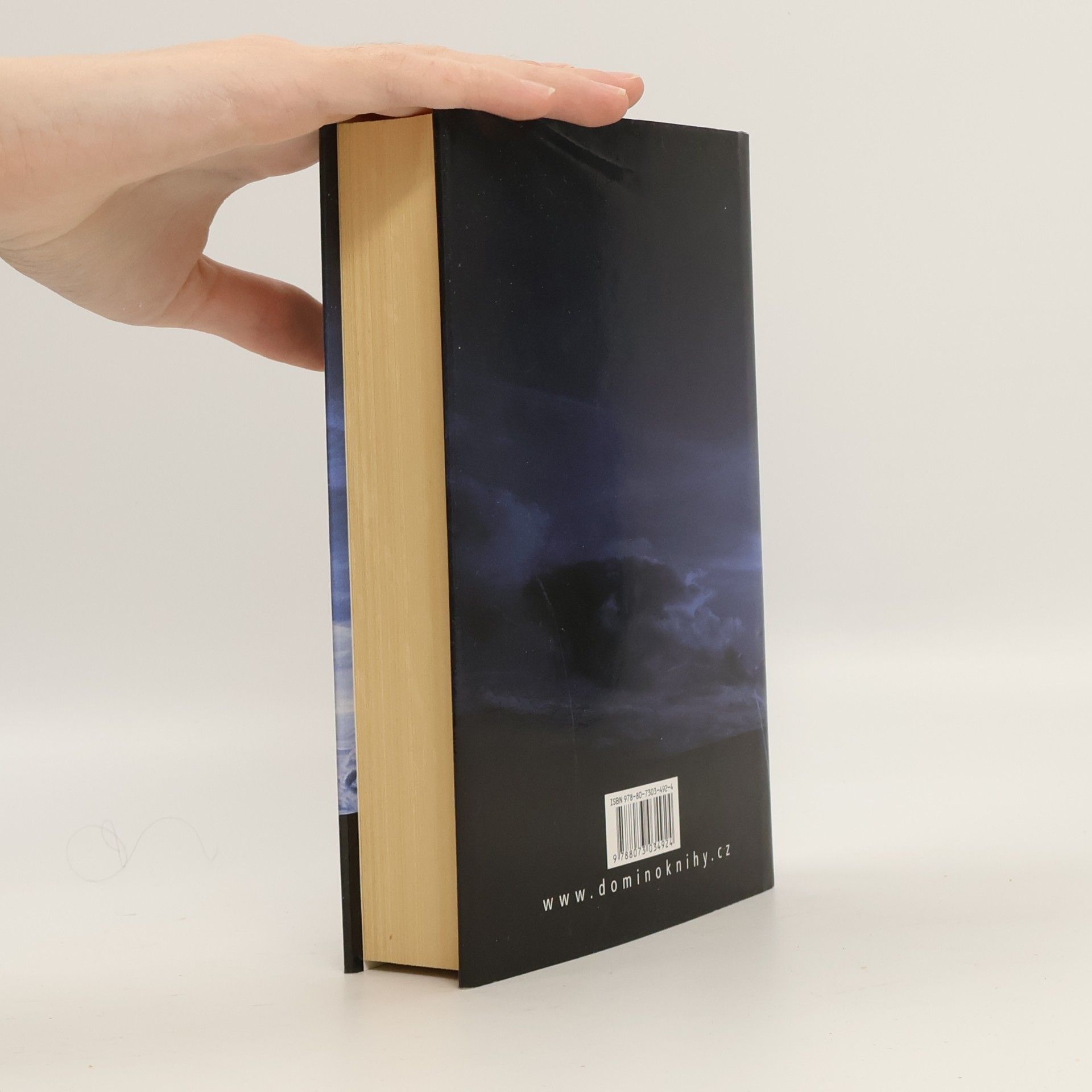 Jeffery Deaver Kříže u cesty