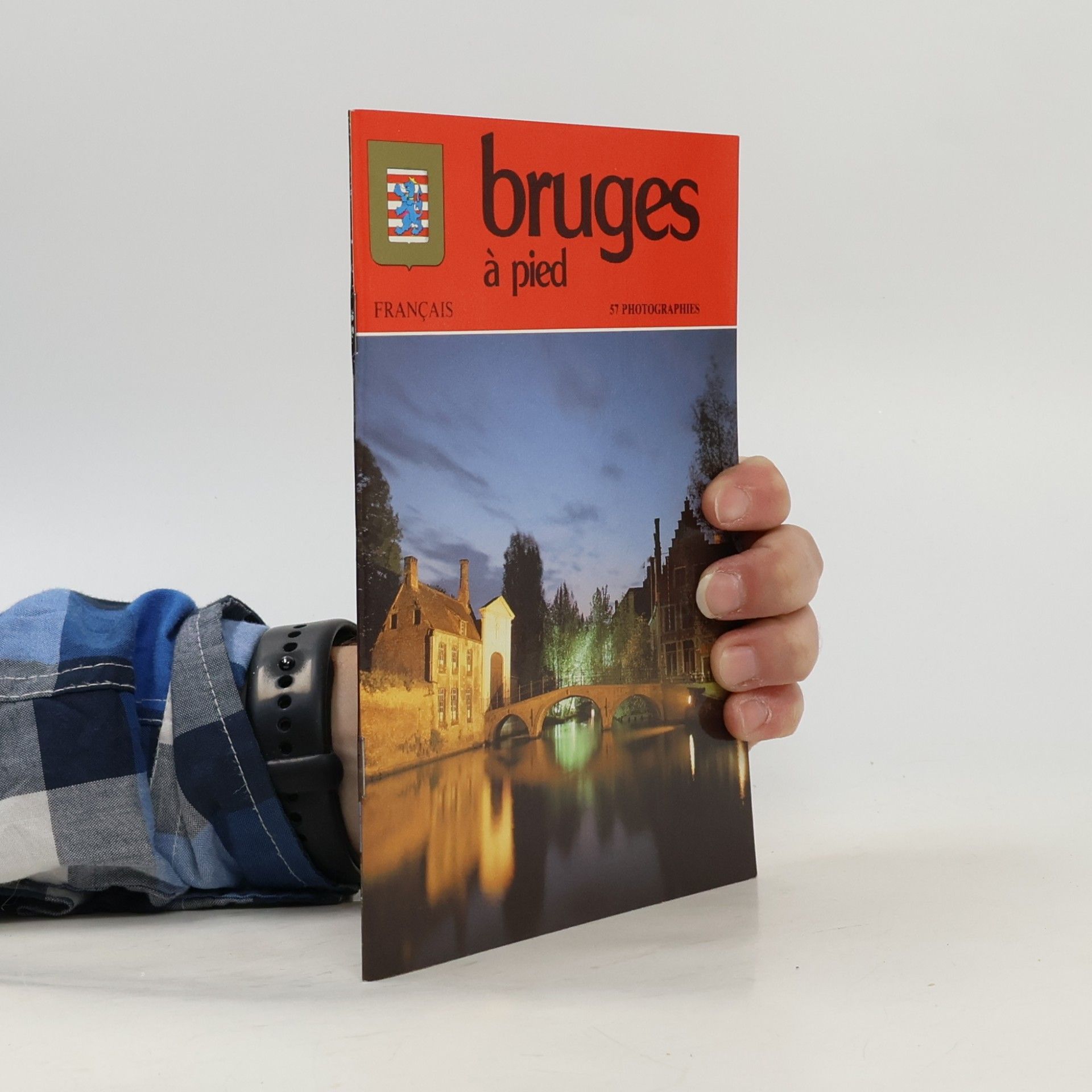 Kolektiv autorů Bruges á pied