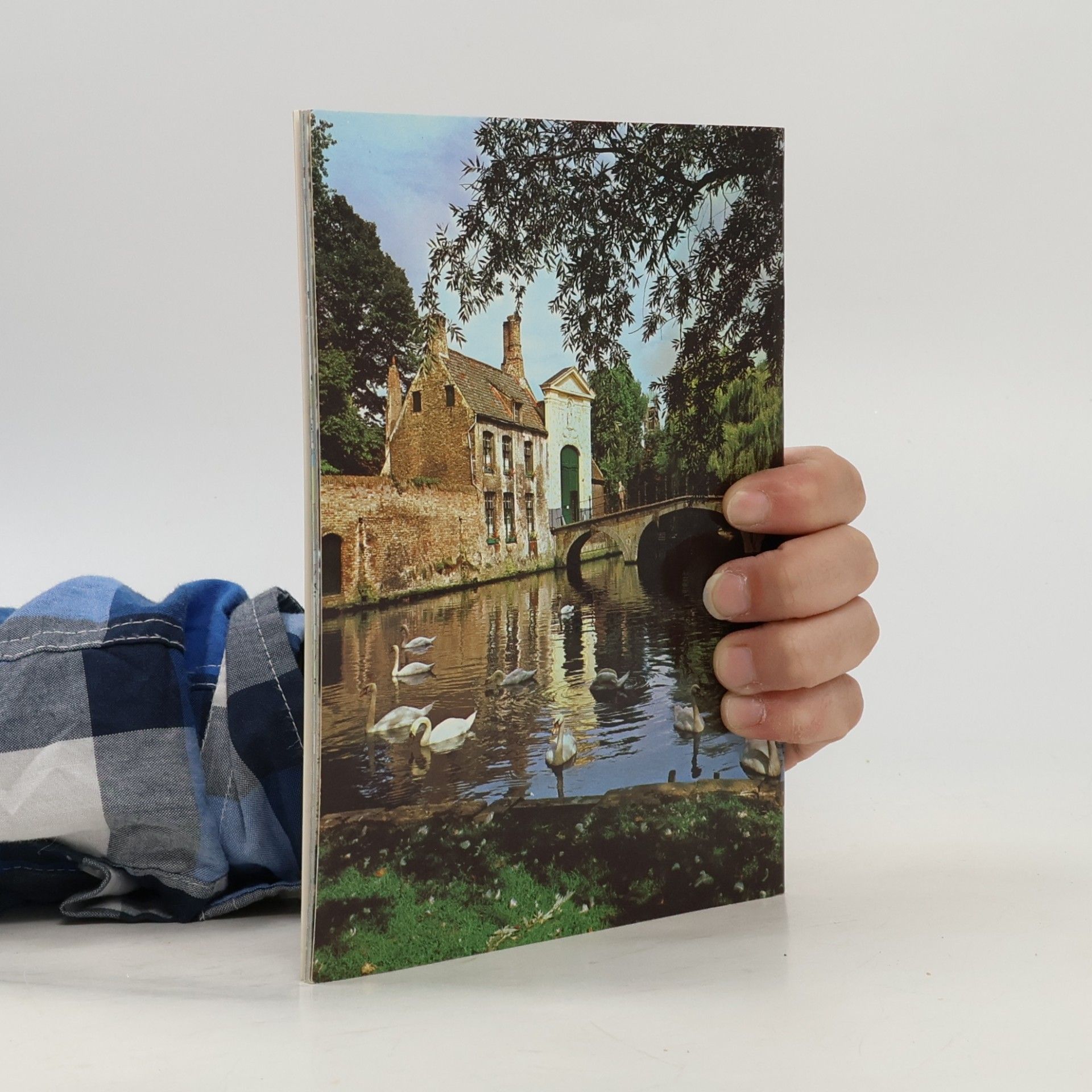 Autores varios Bruges á pied