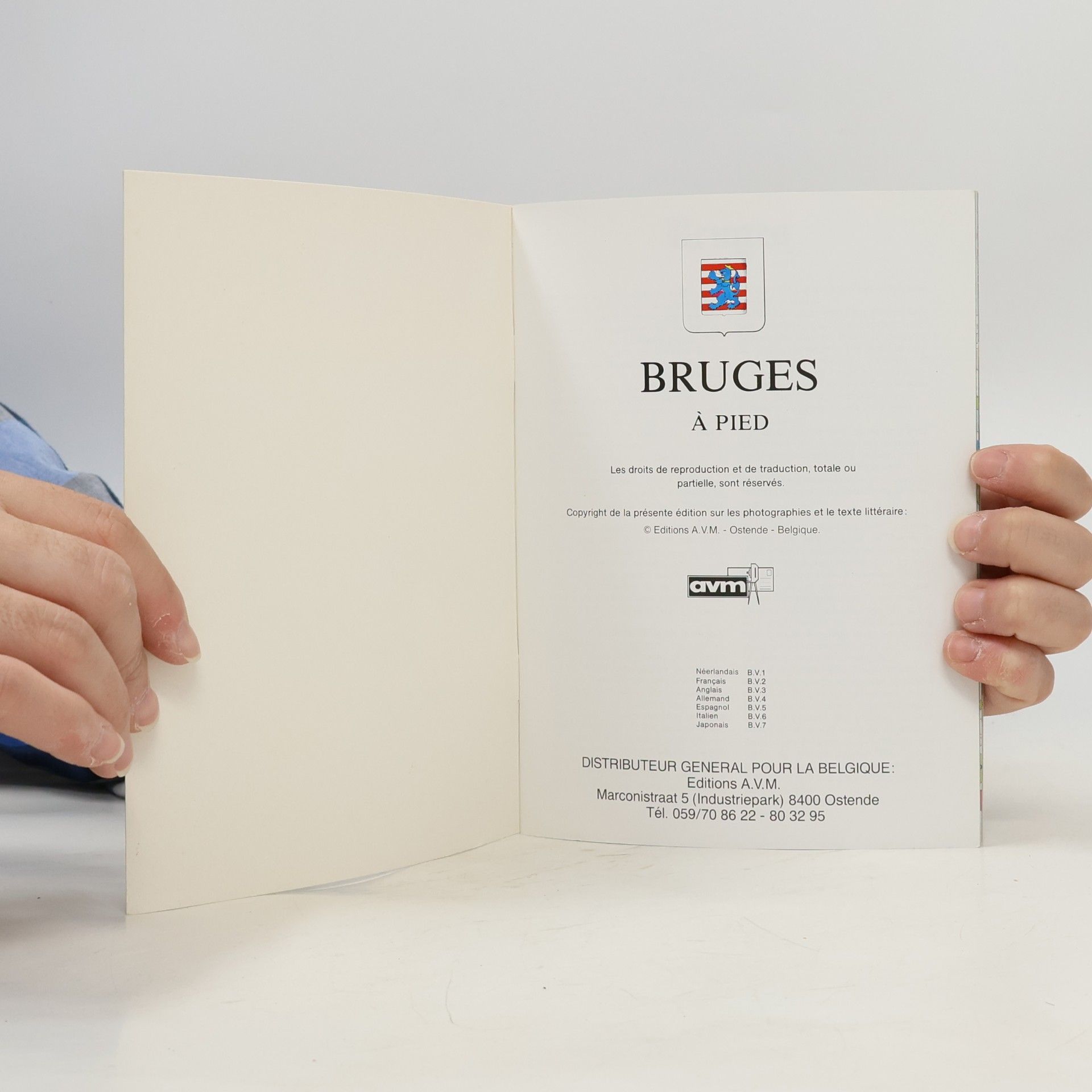 Autores varios Bruges á pied