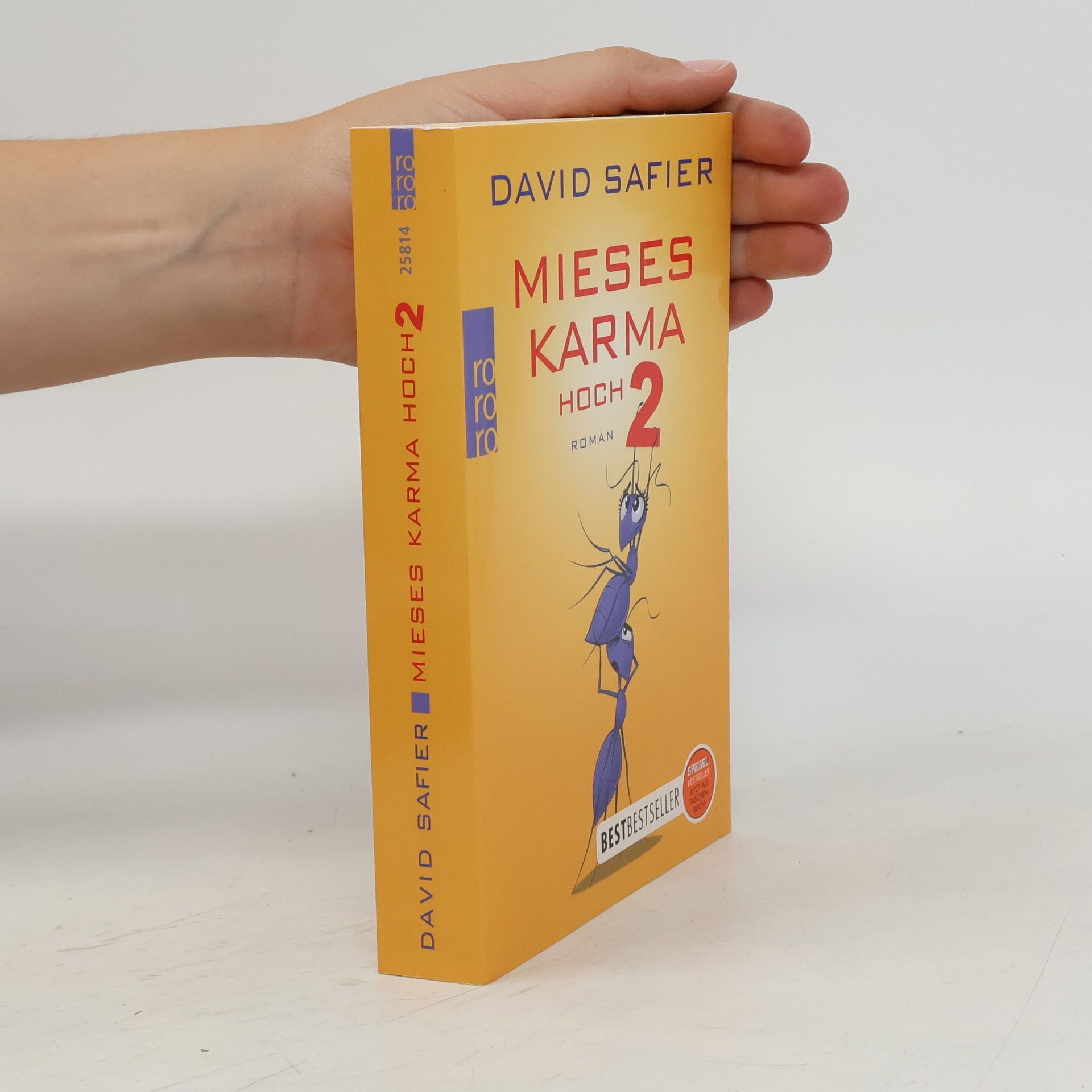 David Safier Mieses Karma hoch 2