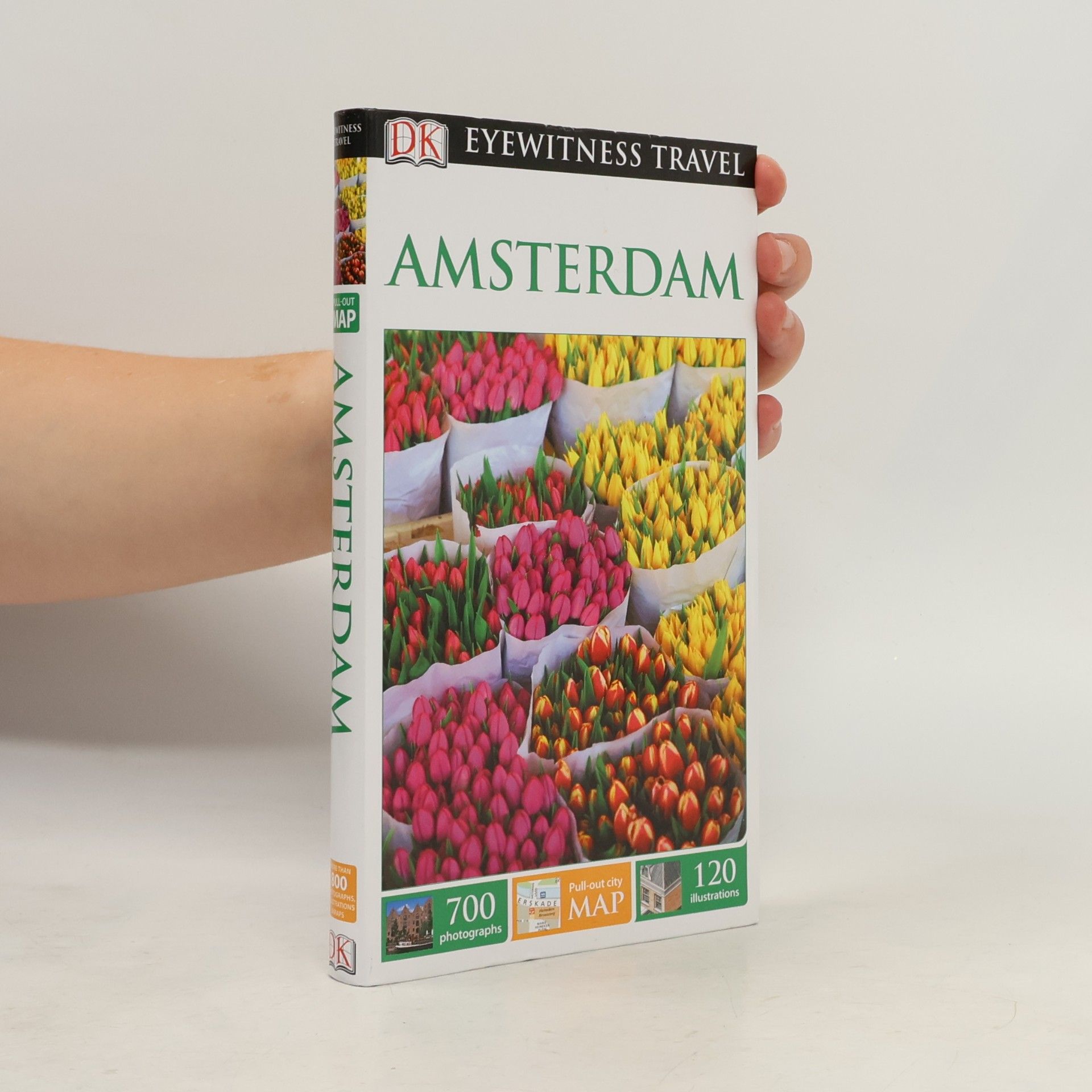 Robin Pascoe DK Eyewitness Travel Guide: Amsterdam