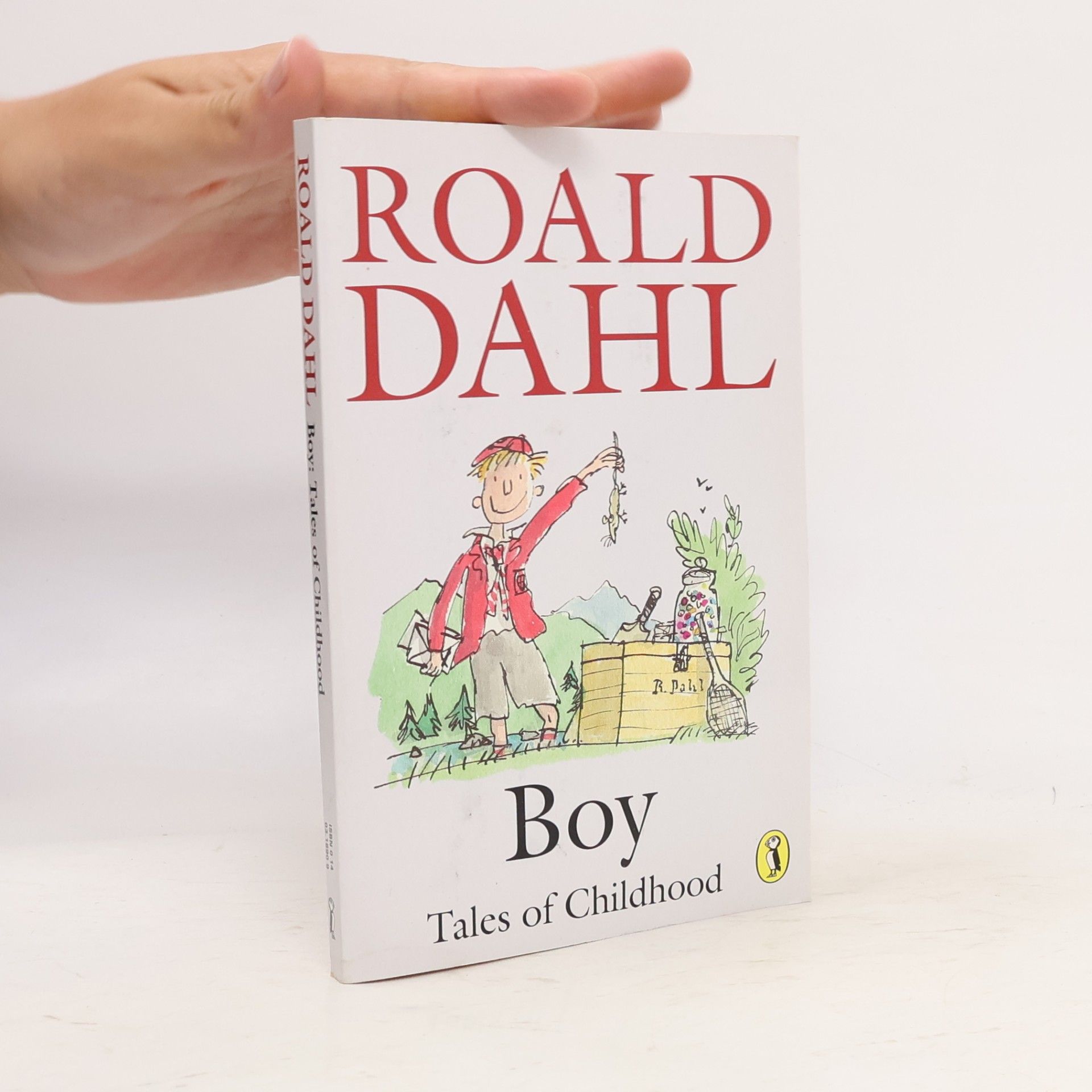 Roald Dahl Boy : tales of childhood