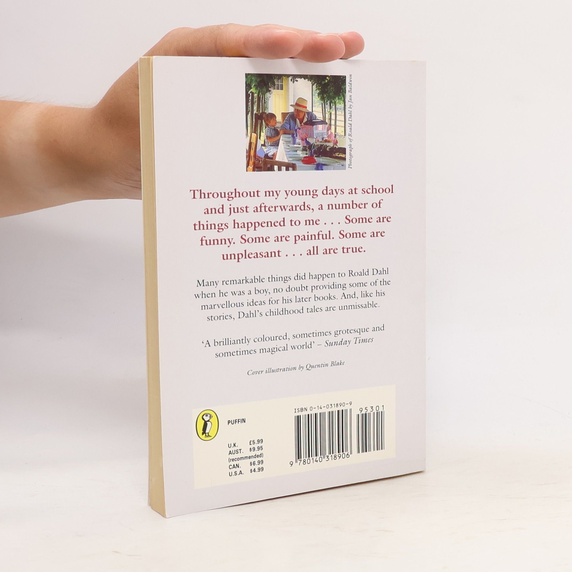 Roald Dahl Boy : tales of childhood